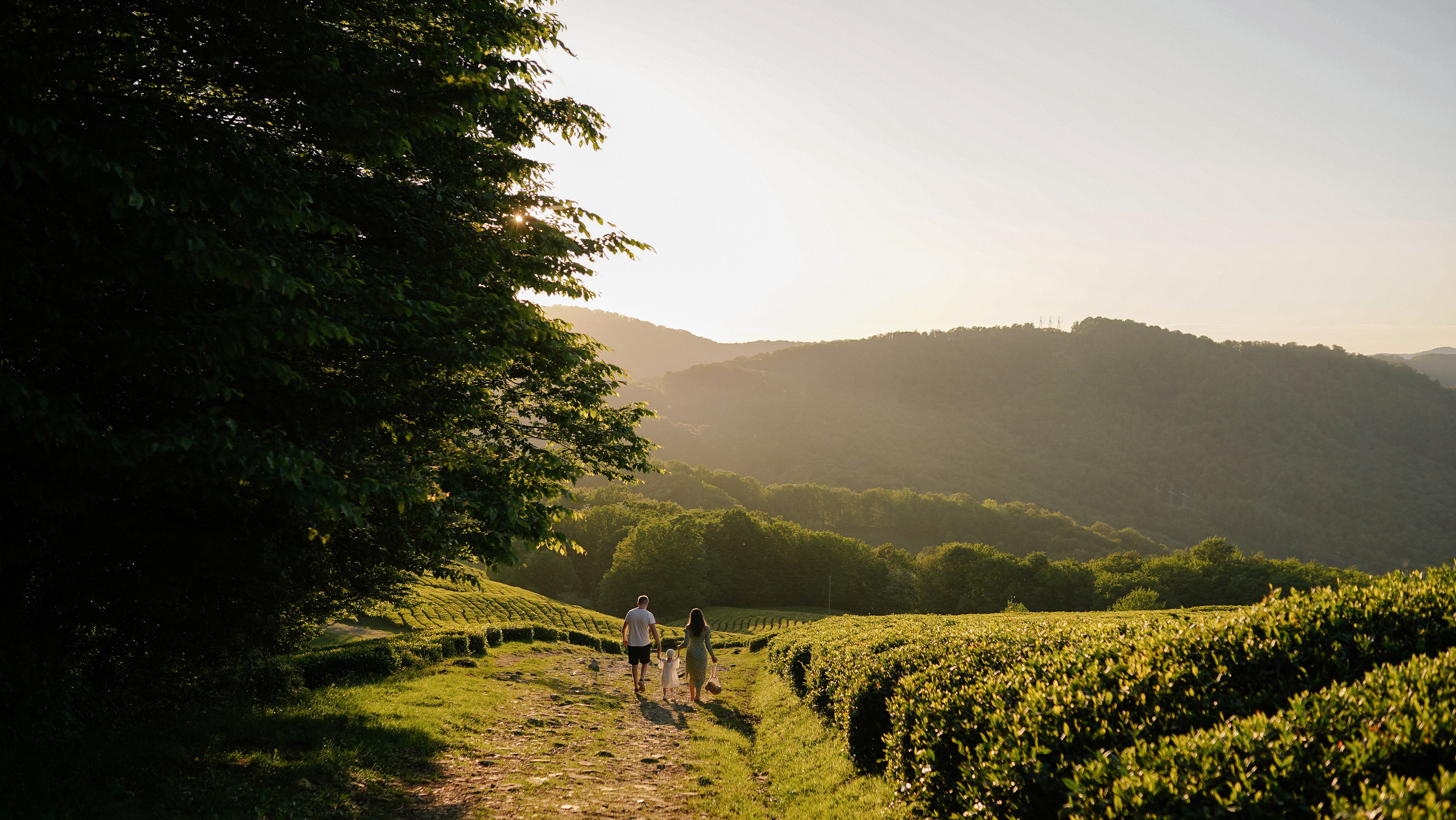 Место для съемки. Милана Довгаль - семейный фотограф и видеограф  в Адлере и Сочи