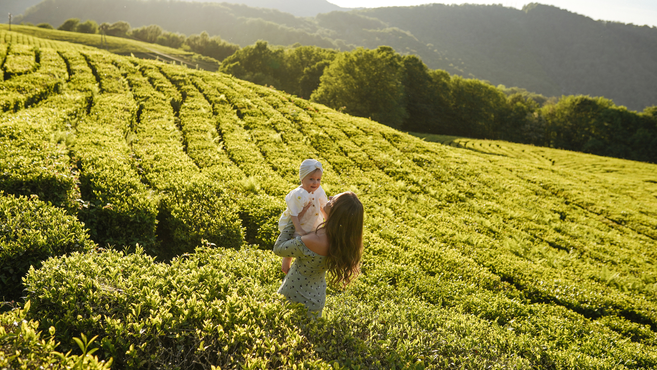 Чайные плантации. Милана Довгаль - семейный фотограф и видеограф  в Адлере и Сочи