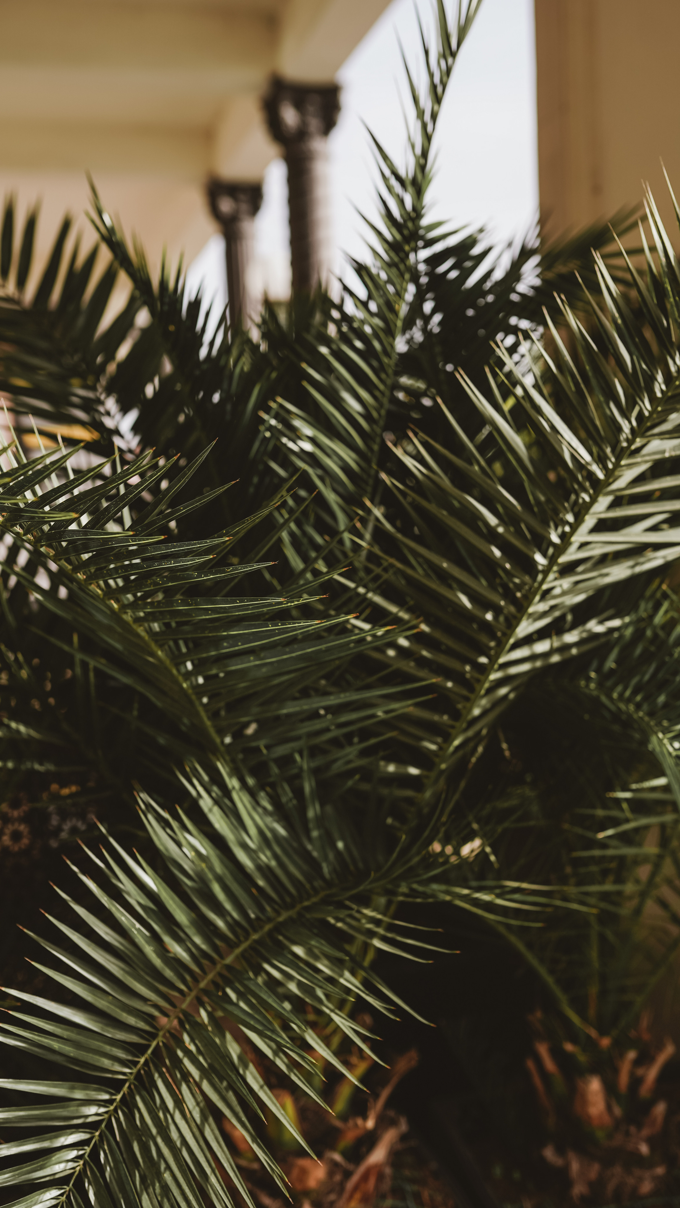 Морской порт. Милана Довгаль - семейный фотограф и видеограф  в Адлере и Сочи