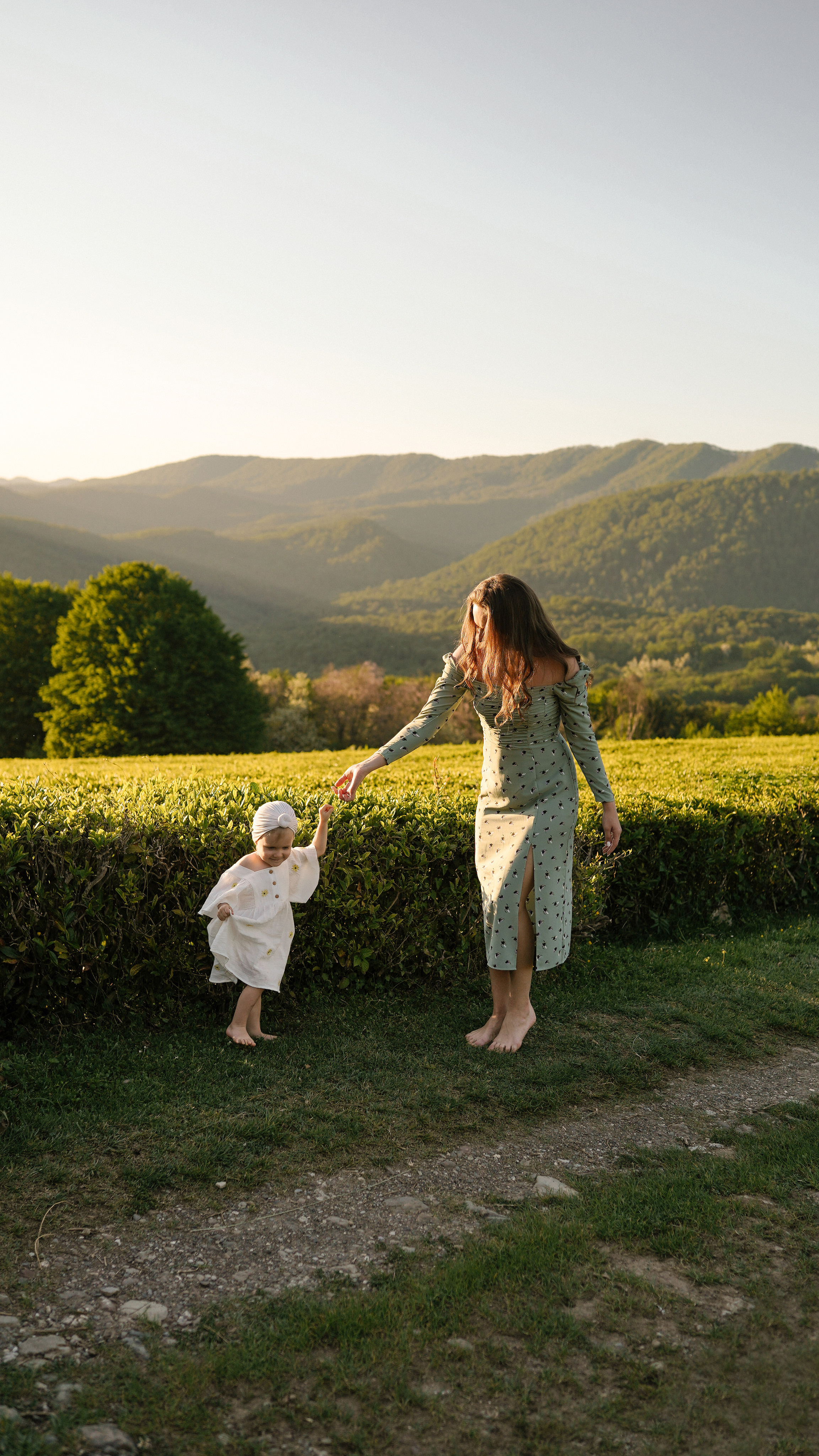 Чайные плантации. Милана Довгаль - семейный фотограф и видеограф  в Адлере и Сочи