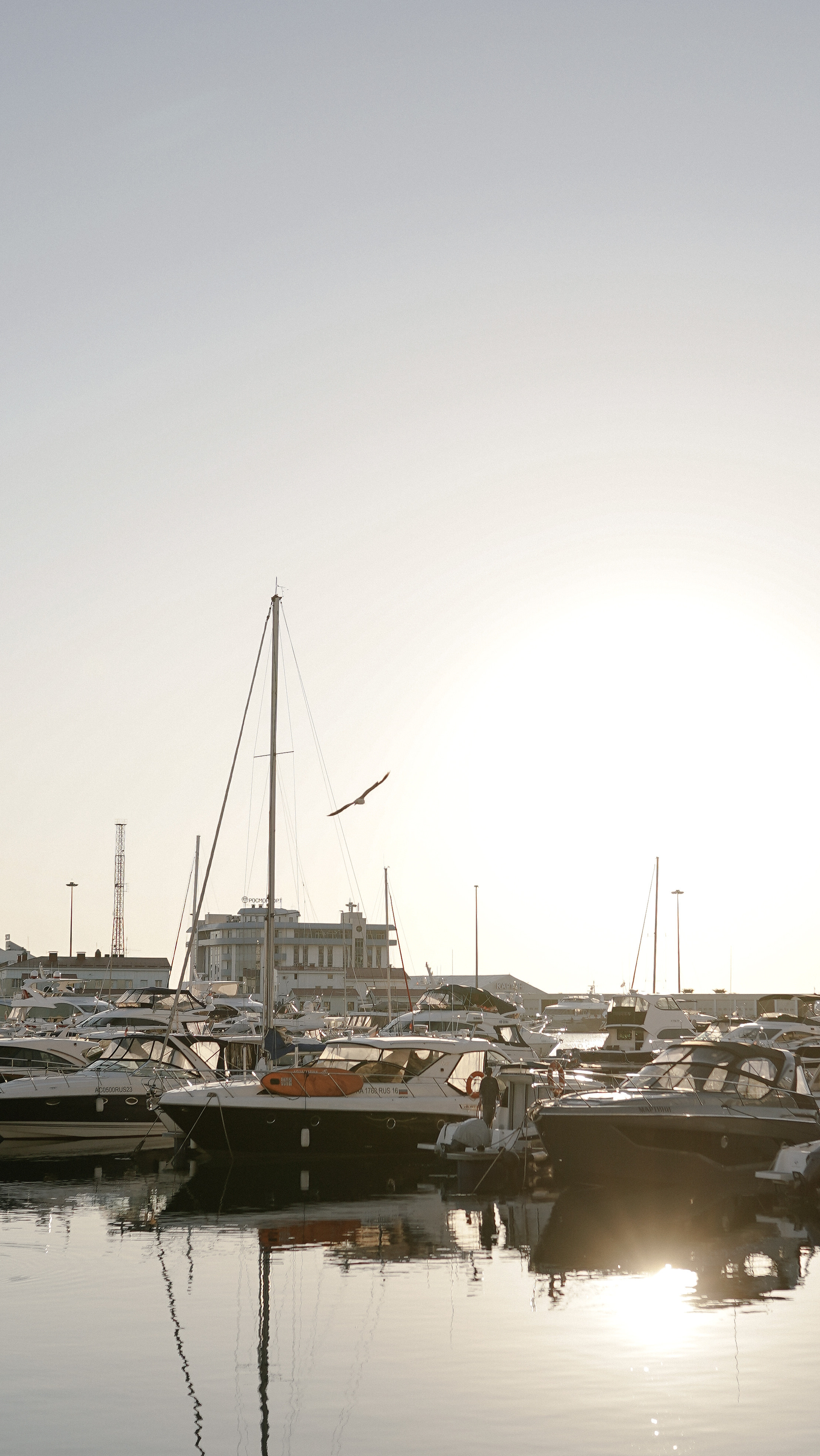 Морской порт. Милана Довгаль - семейный фотограф и видеограф  в Адлере и Сочи