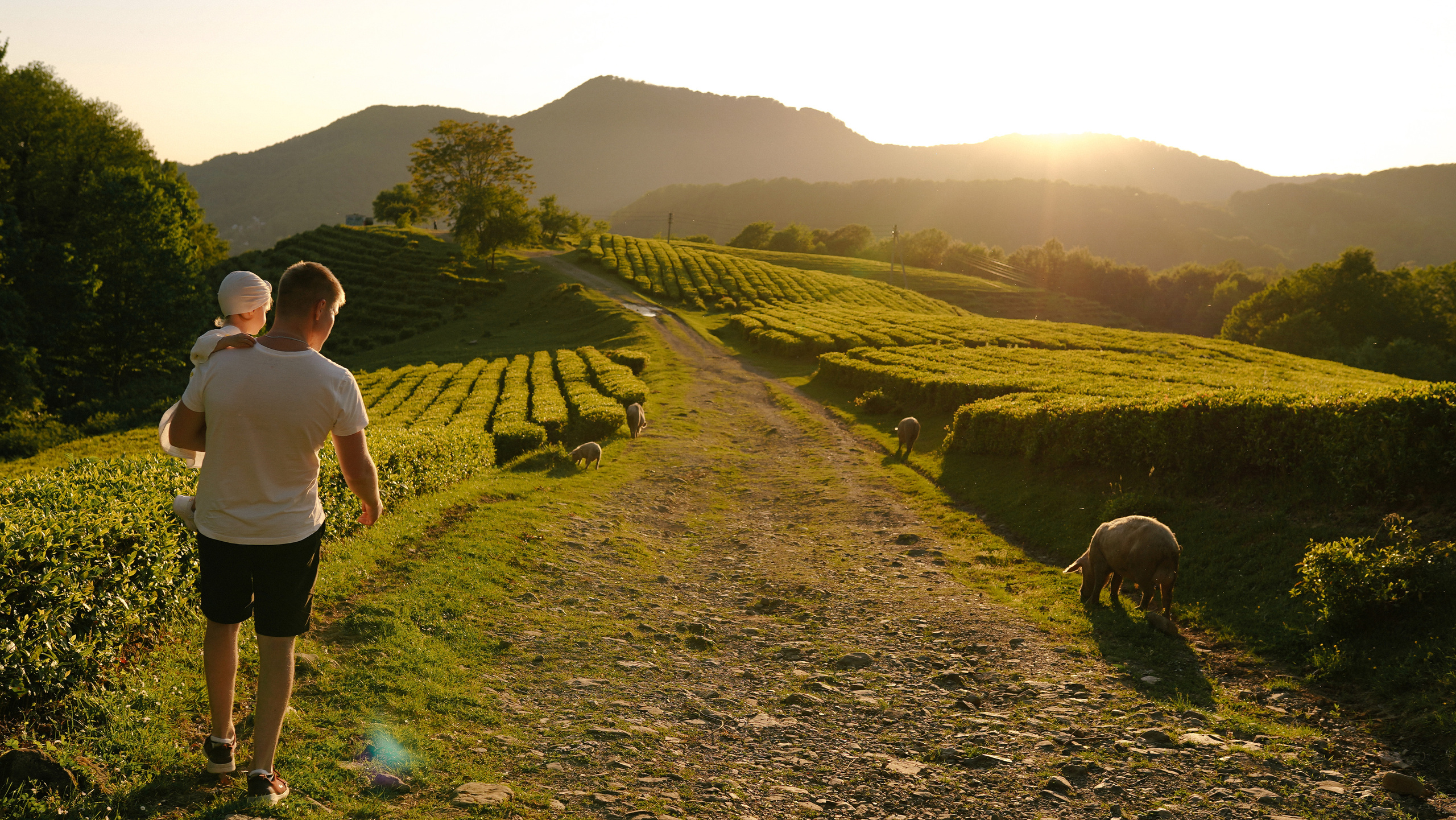 Карина, Артём и Катя. Милана Довгаль - семейный фотограф и видеограф  в Адлере и Сочи