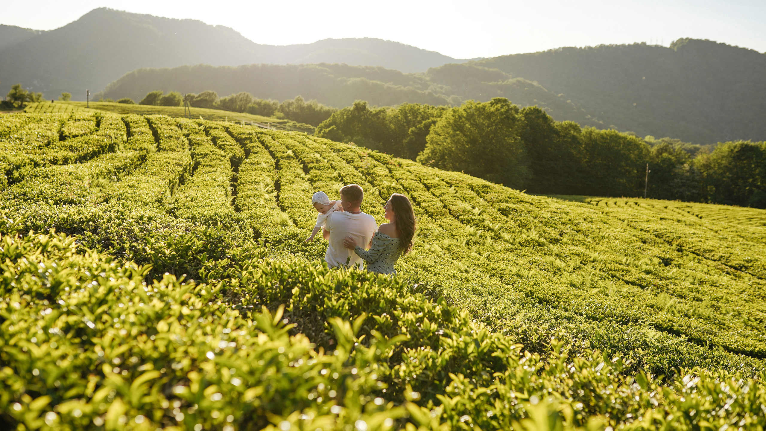 Чайные плантации. Милана Довгаль - семейный фотограф и видеограф  в Адлере и Сочи