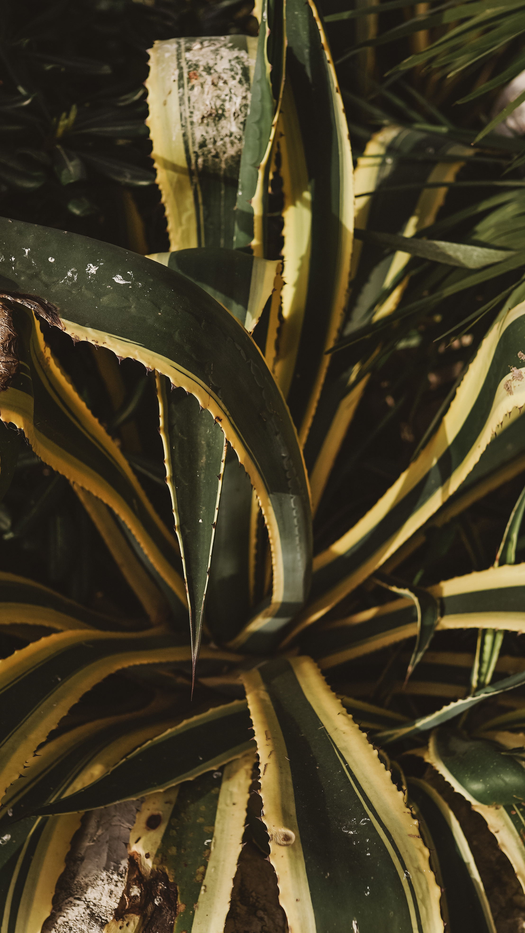 Морской порт. Милана Довгаль - семейный фотограф и видеограф  в Адлере и Сочи