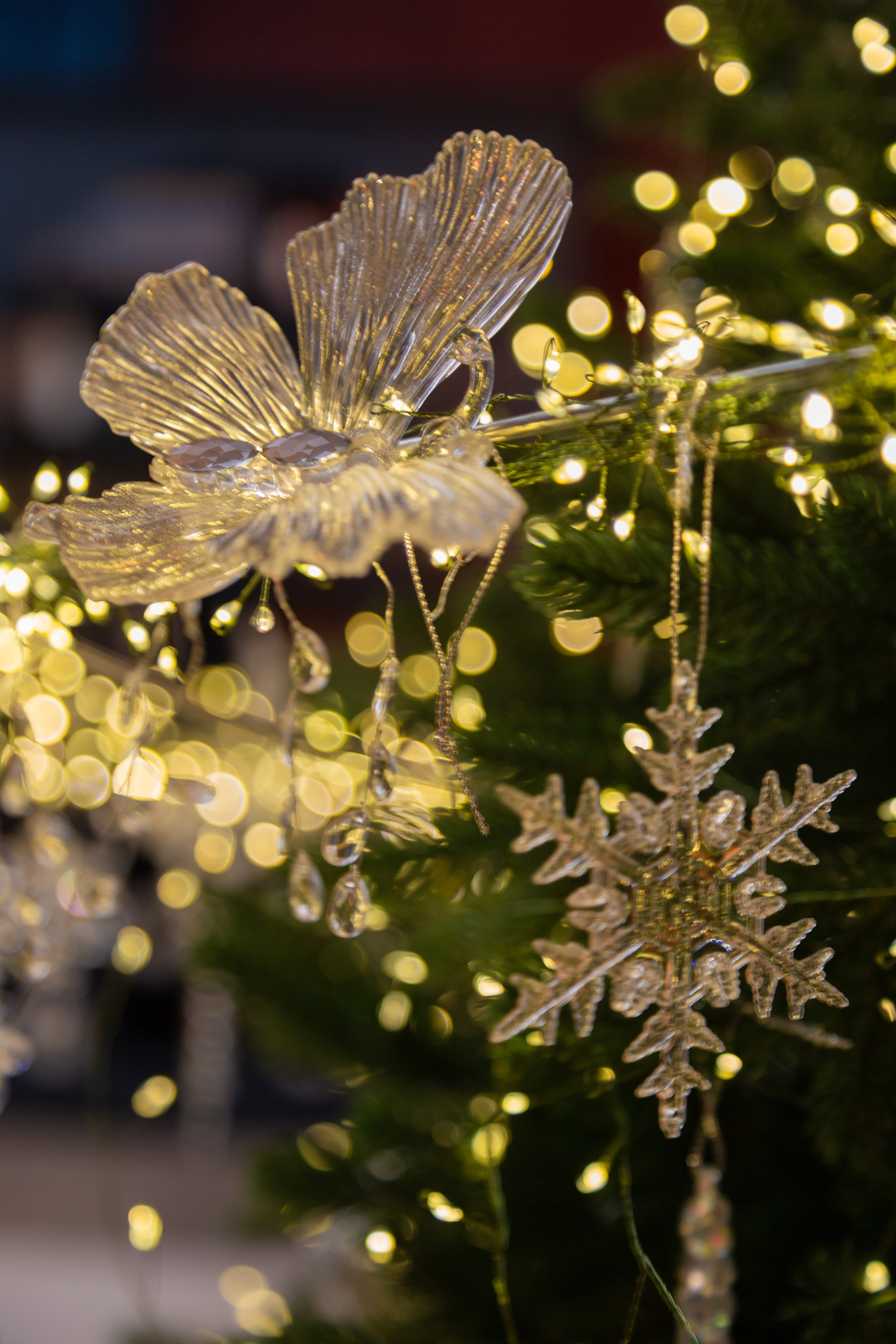 Белый Осел. Детский семейный фотограф Краснодар