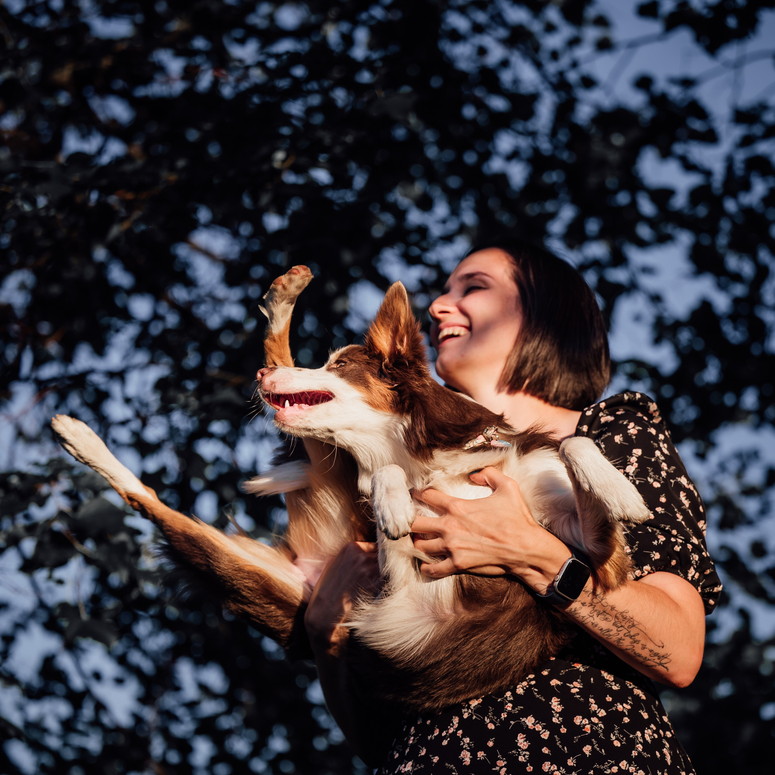 Маша, Лика, Нао и Рафта. Семейный фотограф анималист Ананьева Мария — Москва