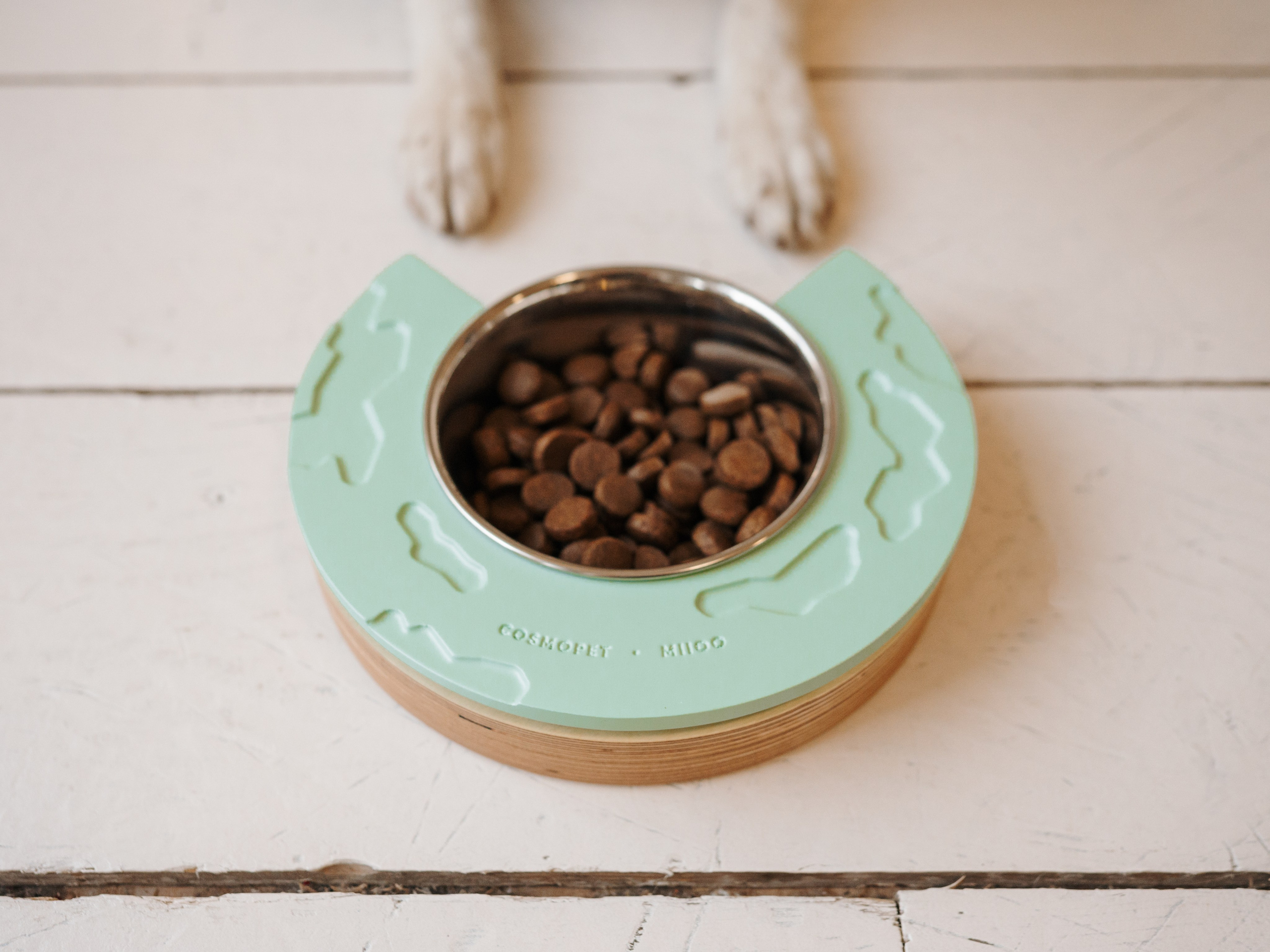 Cosmodog. Миски и лакомства. Семейный фотограф анималист Ананьева Мария — Москва