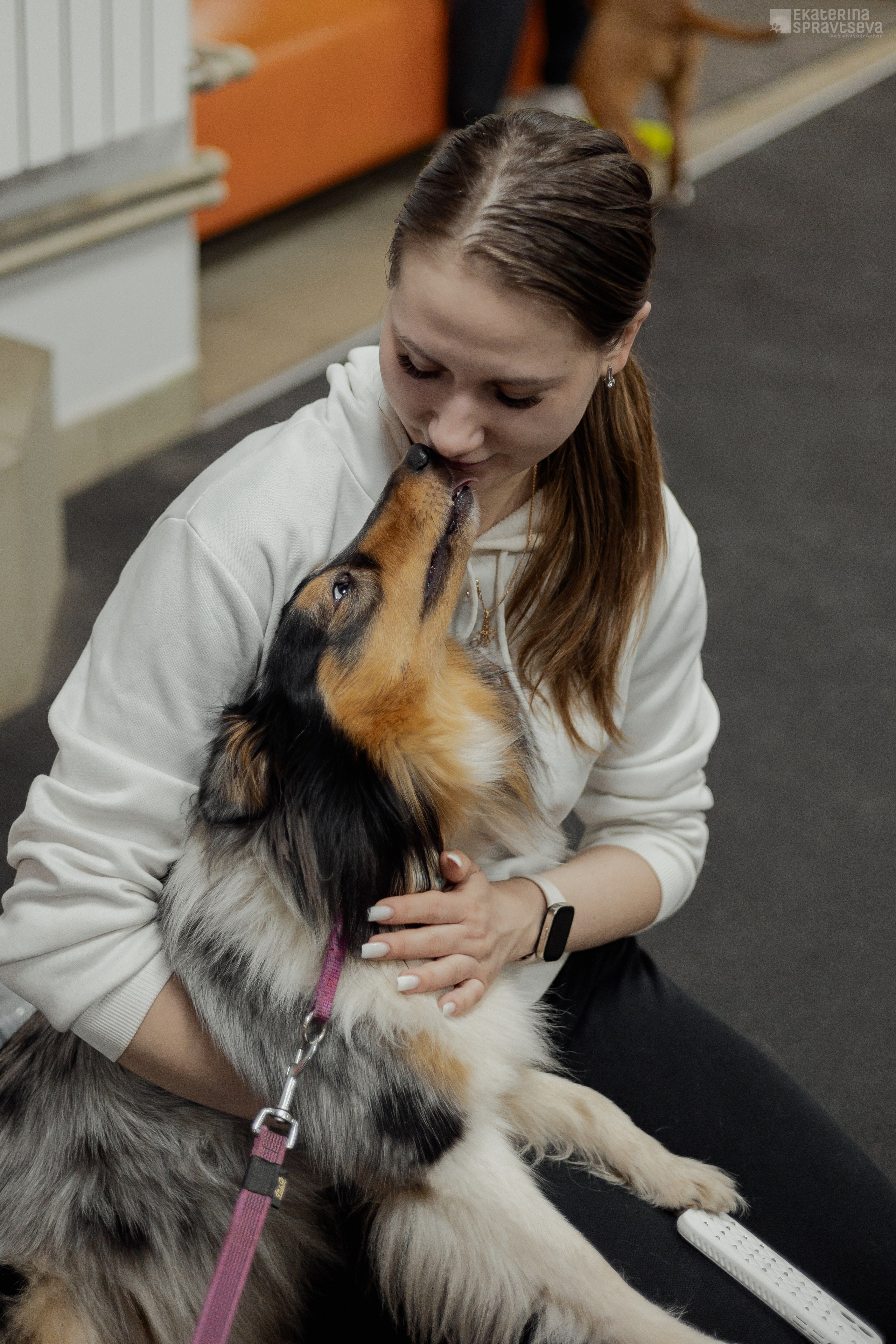 NoseWork. Фотограф Анималист Екатерина Справцева в Нижнем Новгороде