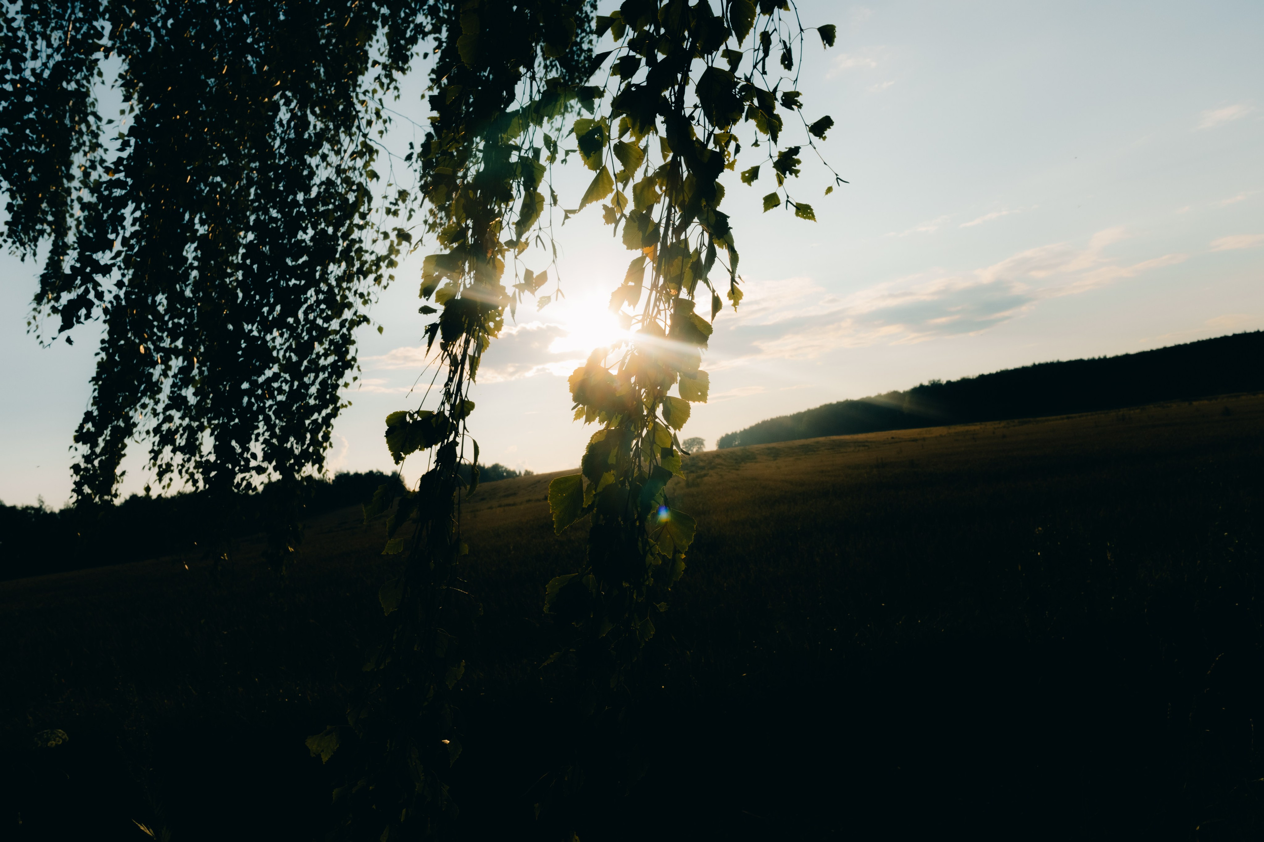 LIFE BLOG. PASHAHARCE PHOTOGRAPHER & VIDEOGRAPHER