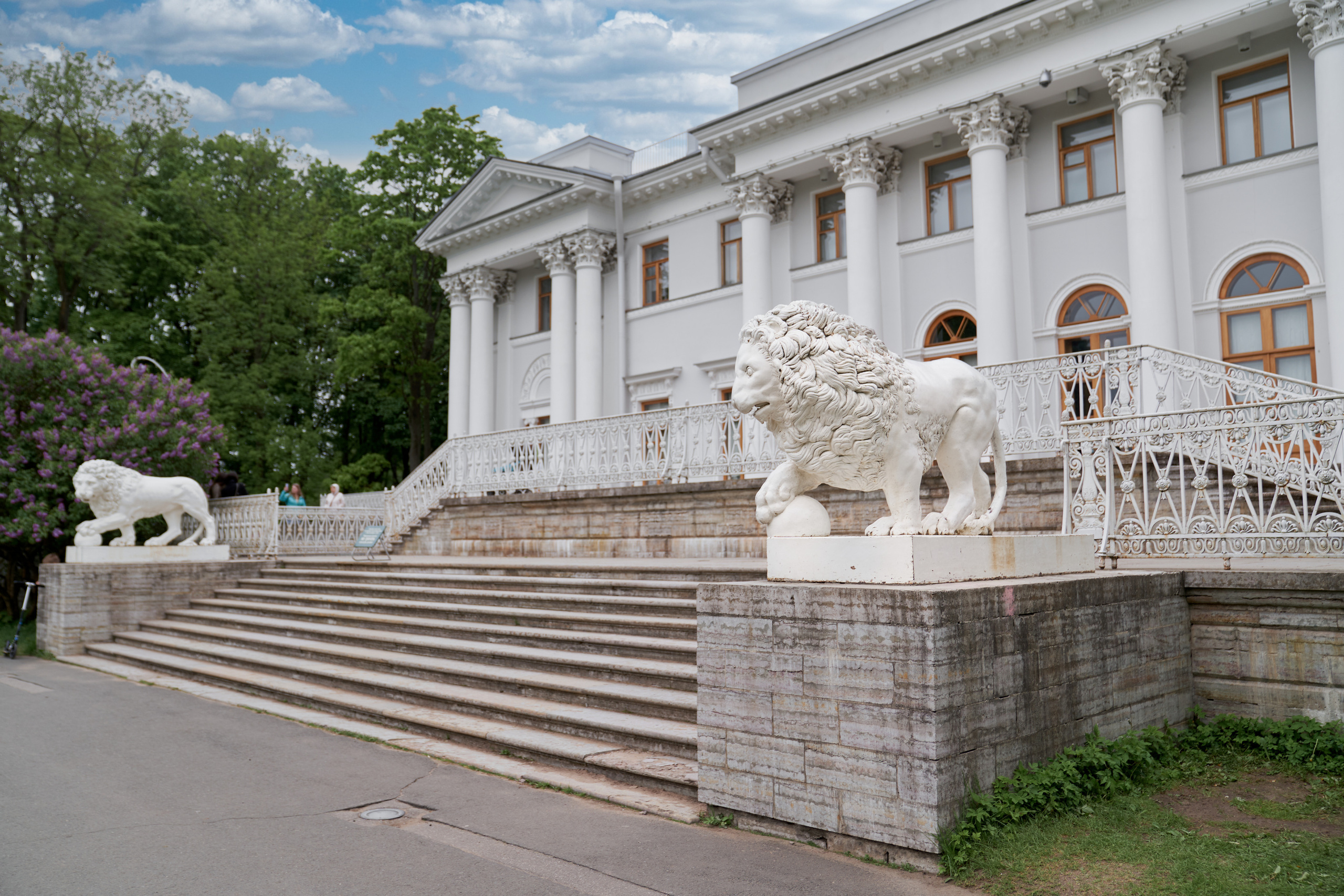 Елагин остров. Сергей Горшенин — профессиональный фотограф