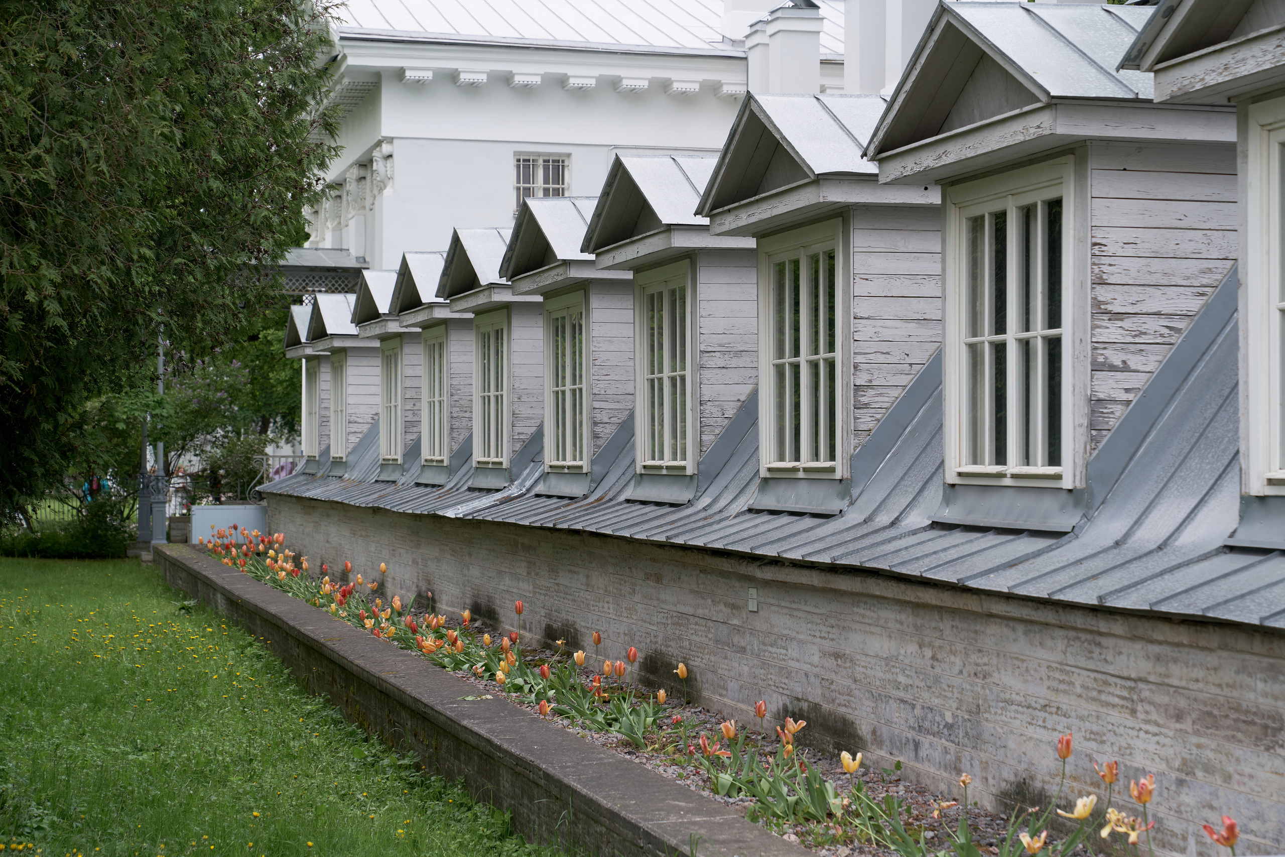 Елагин остров. Сергей Горшенин — профессиональный фотограф