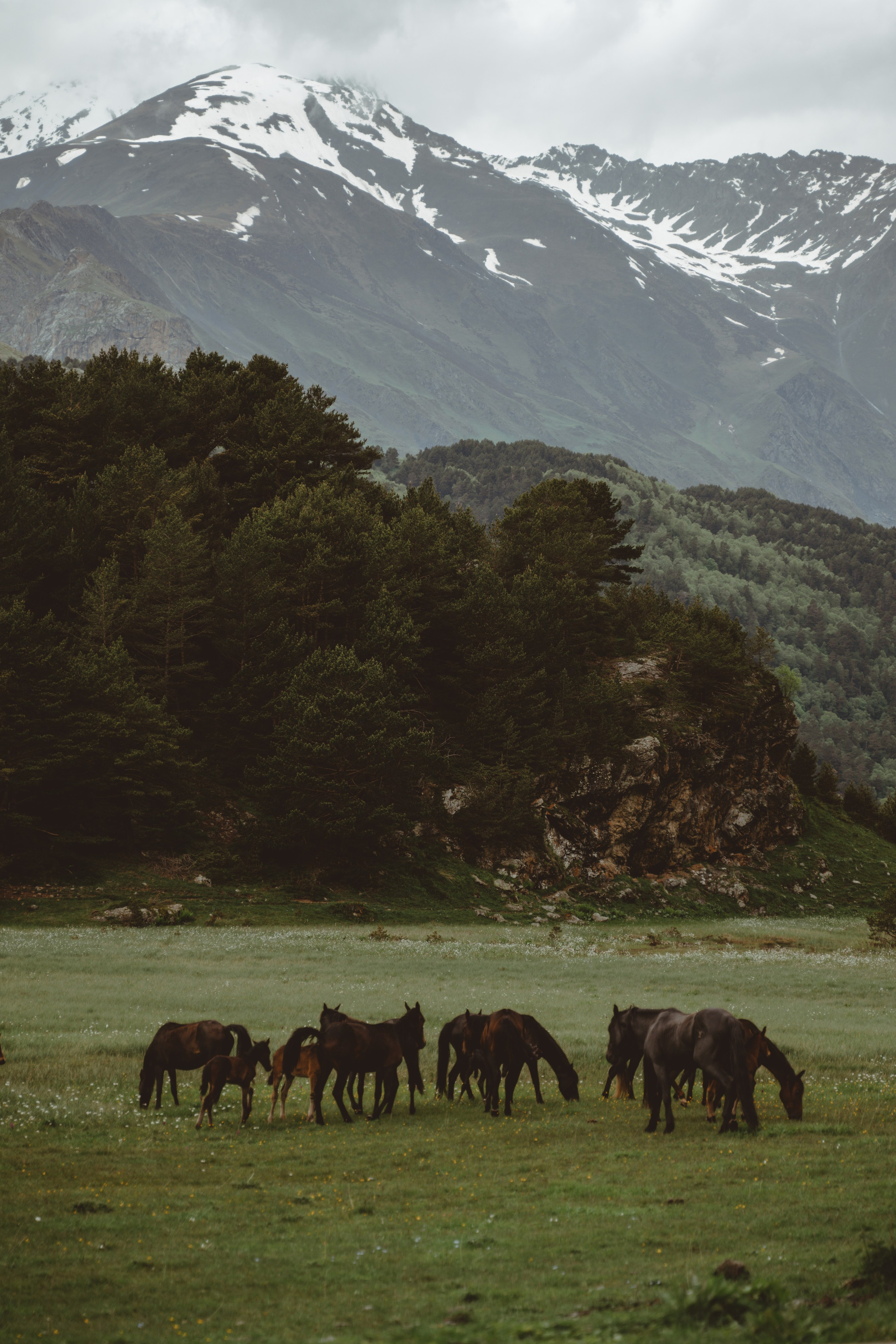 Пейзаж. Фотограф Кантемир Бараов