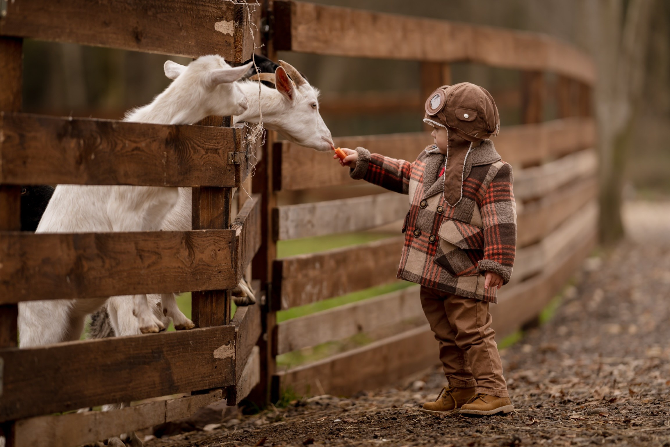 Платон, Оксана и Саша. Семейный фотограф г. Дубна