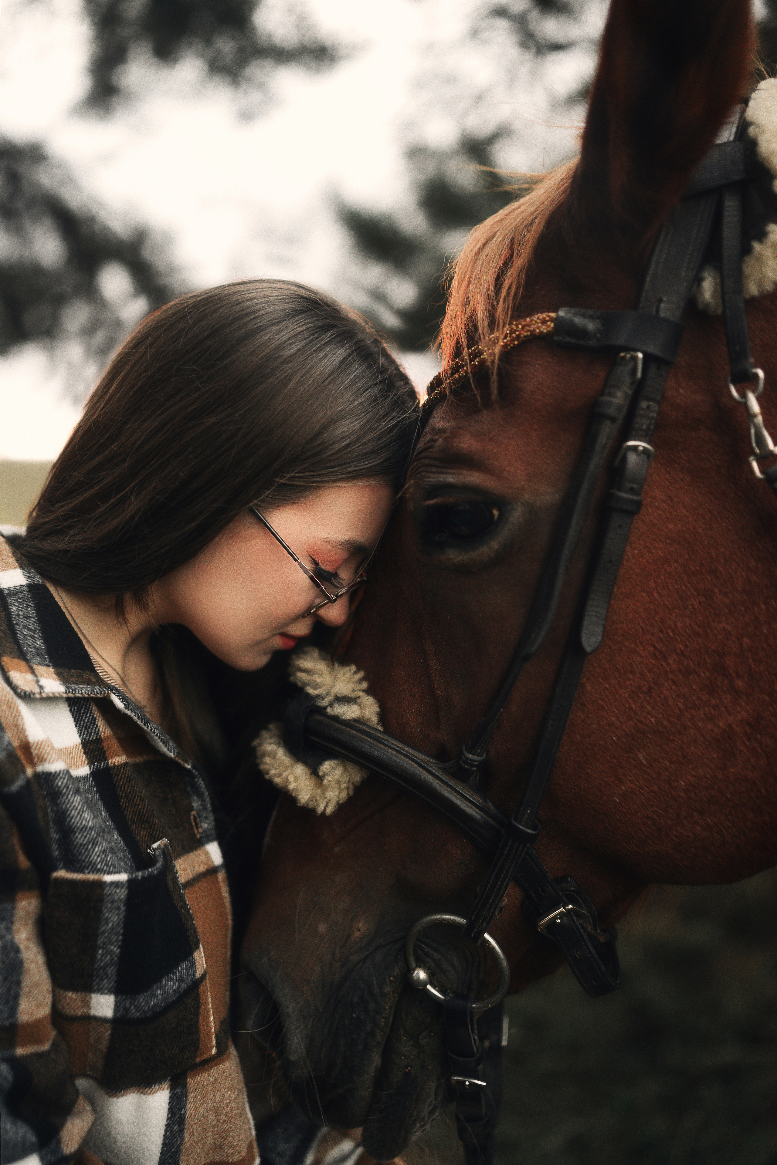 Нежные прикосновения девушки и лошади на конюшне.