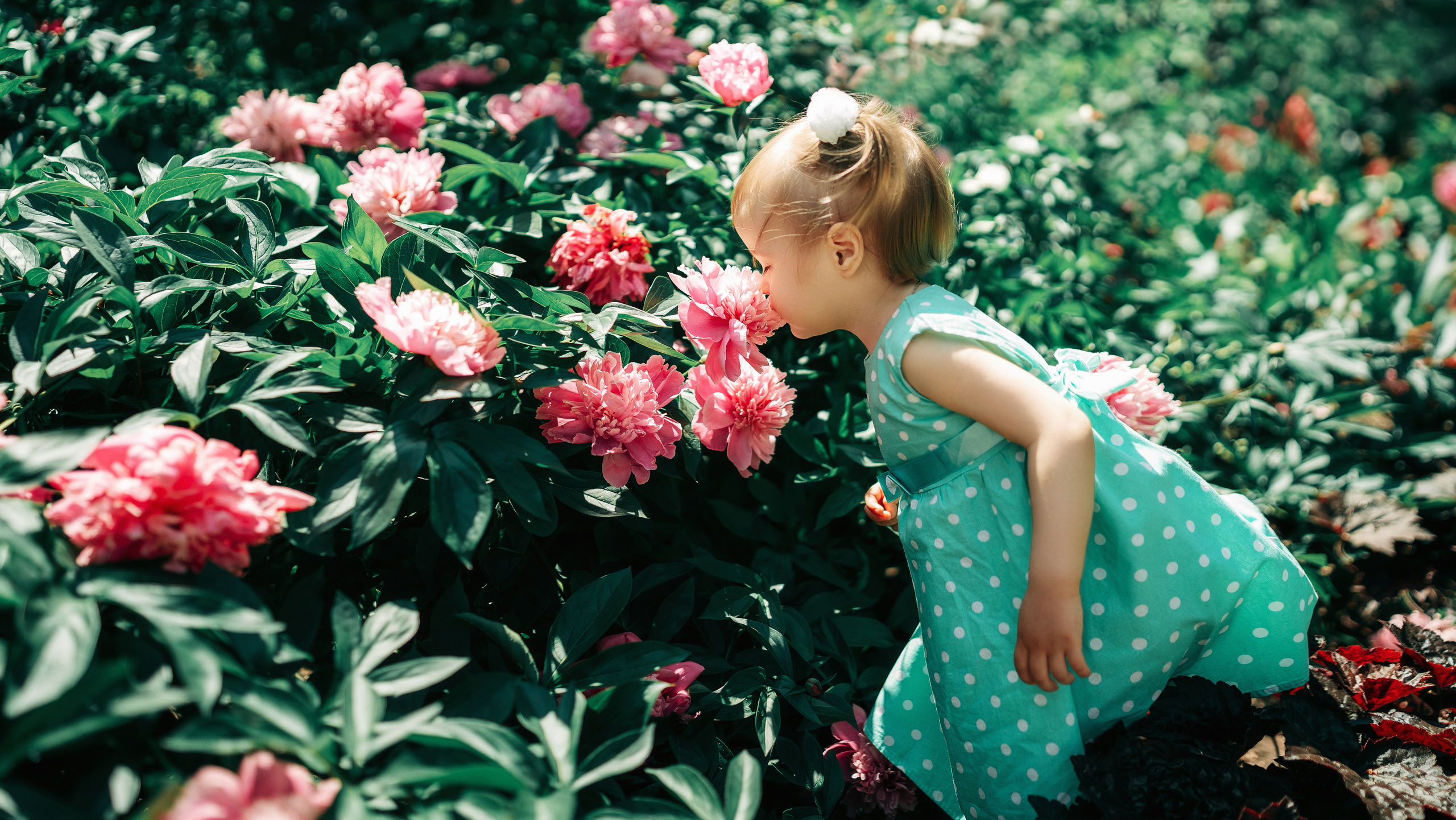 Маленькая девочка нюхает цветочек. 