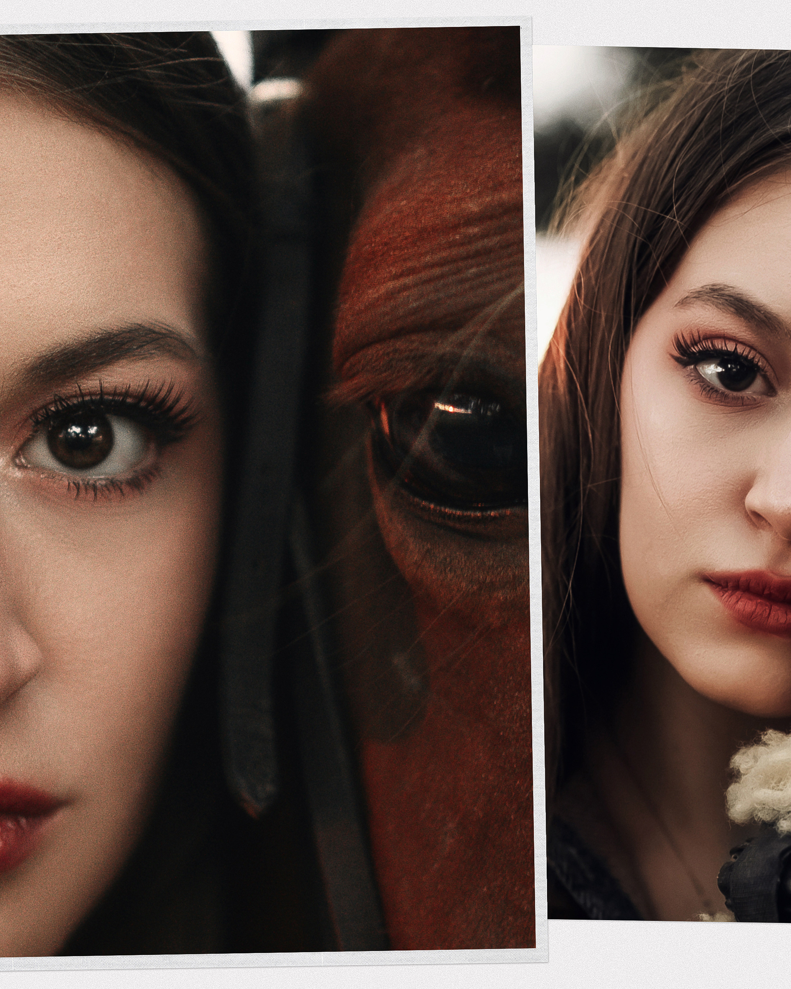 Фотосессия на конюшне в городе Воронеж. Свадебный и репортажный фотограф в Воронеже Роман Янко