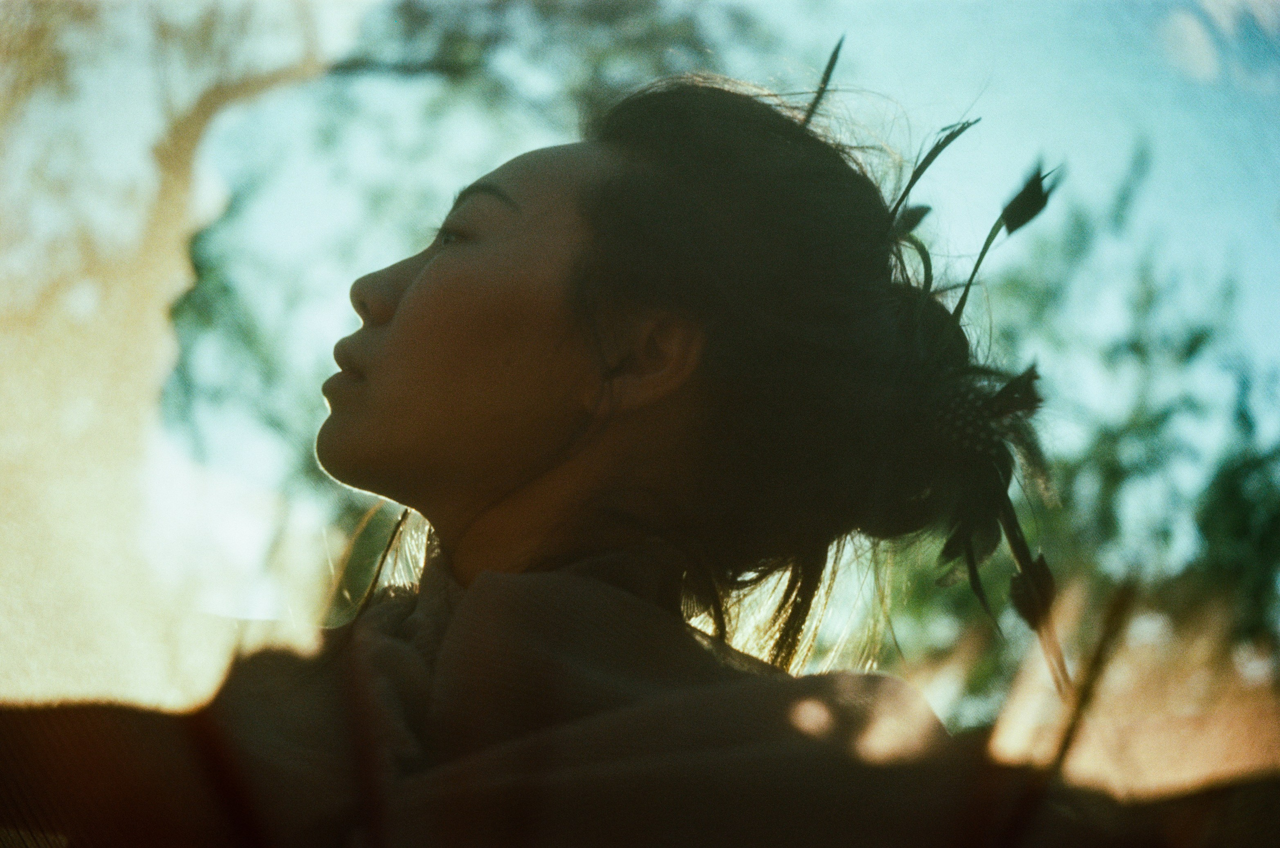 FILM. Director of photography