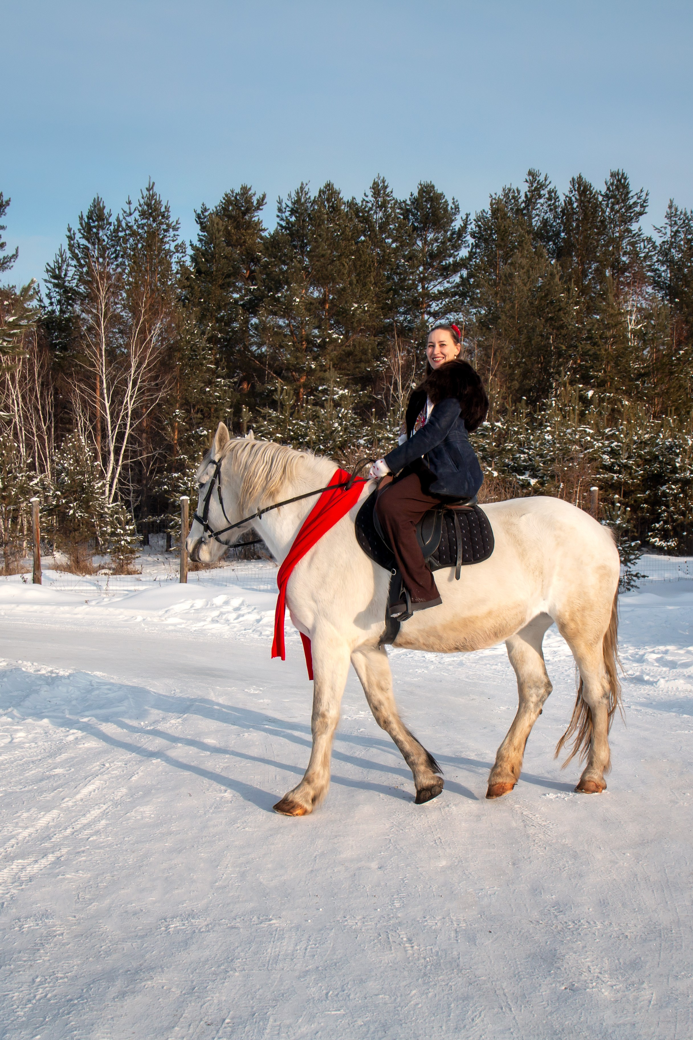Анастасия с семьей. Участники «Новогоднего фотопроект с лошадью». Фотограф в Шелехове, лучшие выпускные альбомы в Шелехове