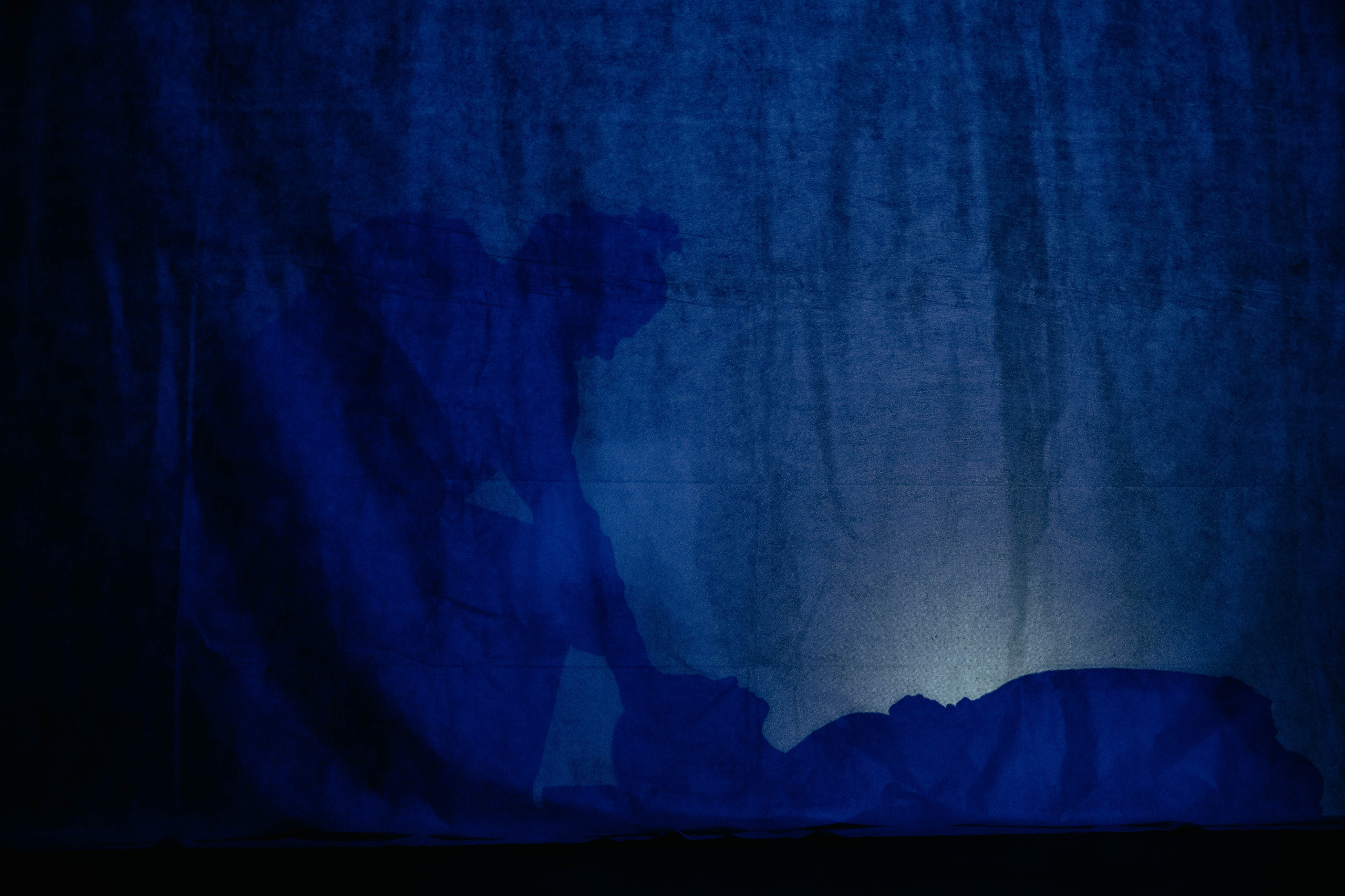 Человек который смеется. Фотограф в Москве и любой точке земного шара Алёна Вялова (Чулкова)