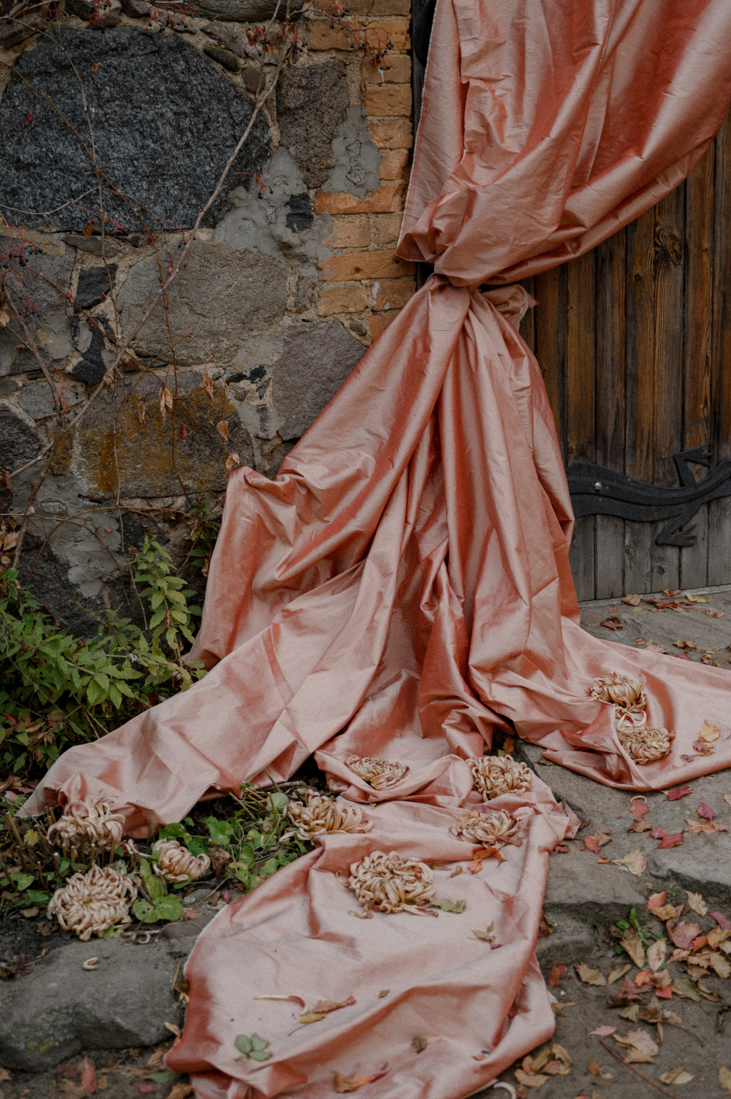 Свадебный фотограф Минск. Свадебный фотограф Минск