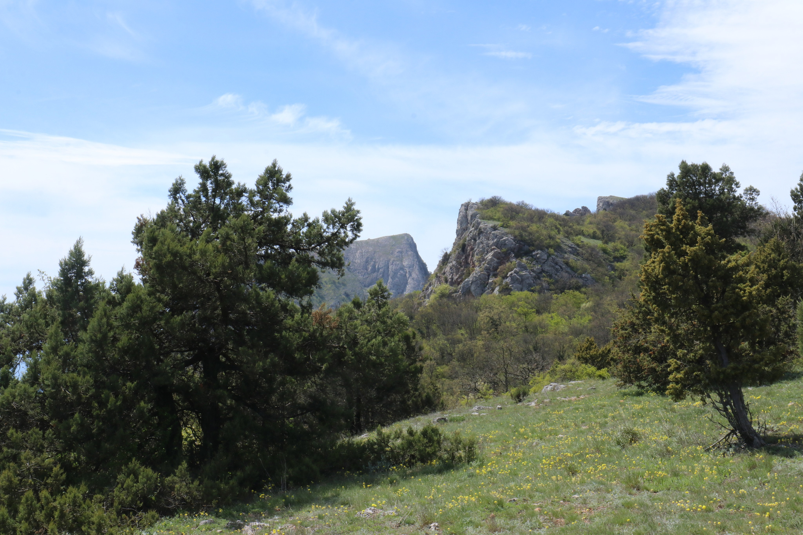 Крым. ЮБК (Севастополь, Кастрополь, Ялта). Май 2023. Путешественник-фотограф из Санкт-Петербурга Татьяна Свистулина