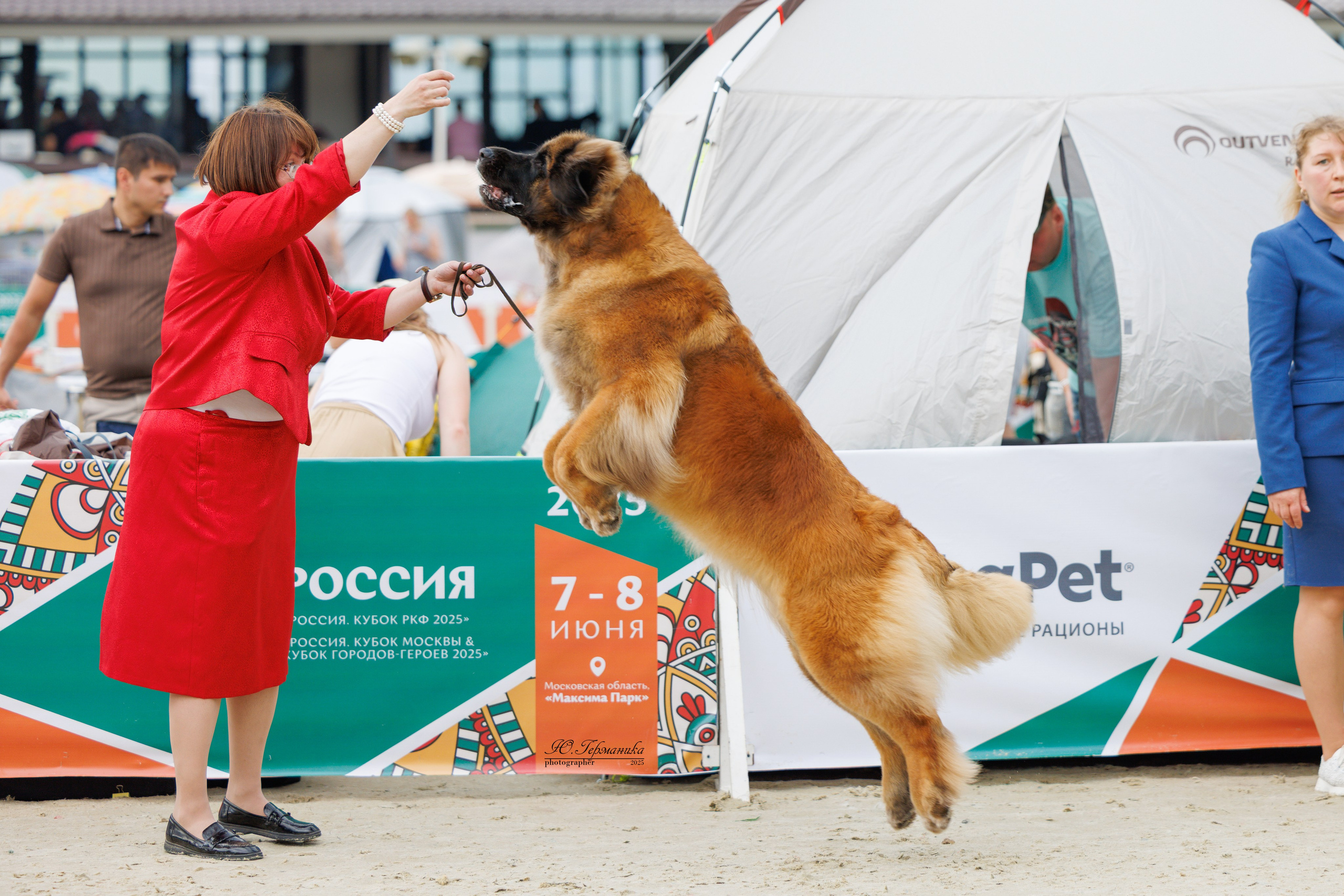 РОССИЯ 7-8.06.2025. Фотограф-анималист Юлия Германика