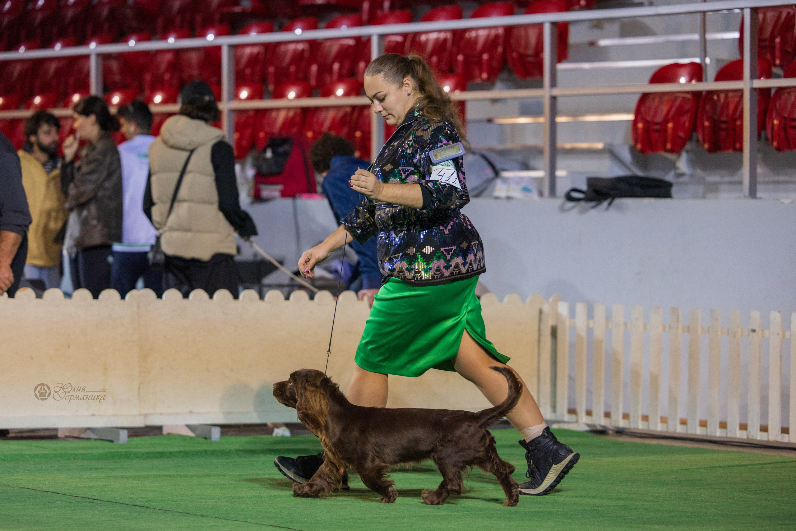 Грузия,Телави 2хCACIB 19-20.10.2024. Фотограф-анималист Юлия Германика