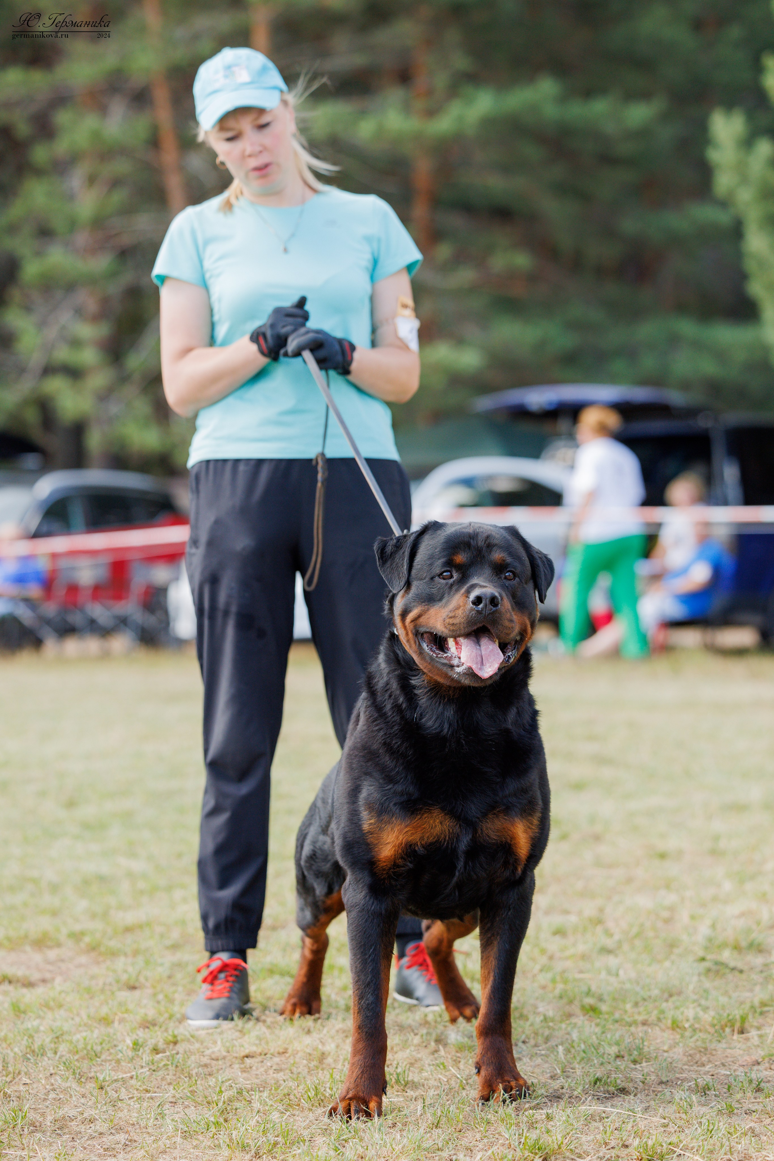 ПК и КЧК ротвейлеры Тверь 6-7.07.2024. Фотограф-анималист Юлия Германика
