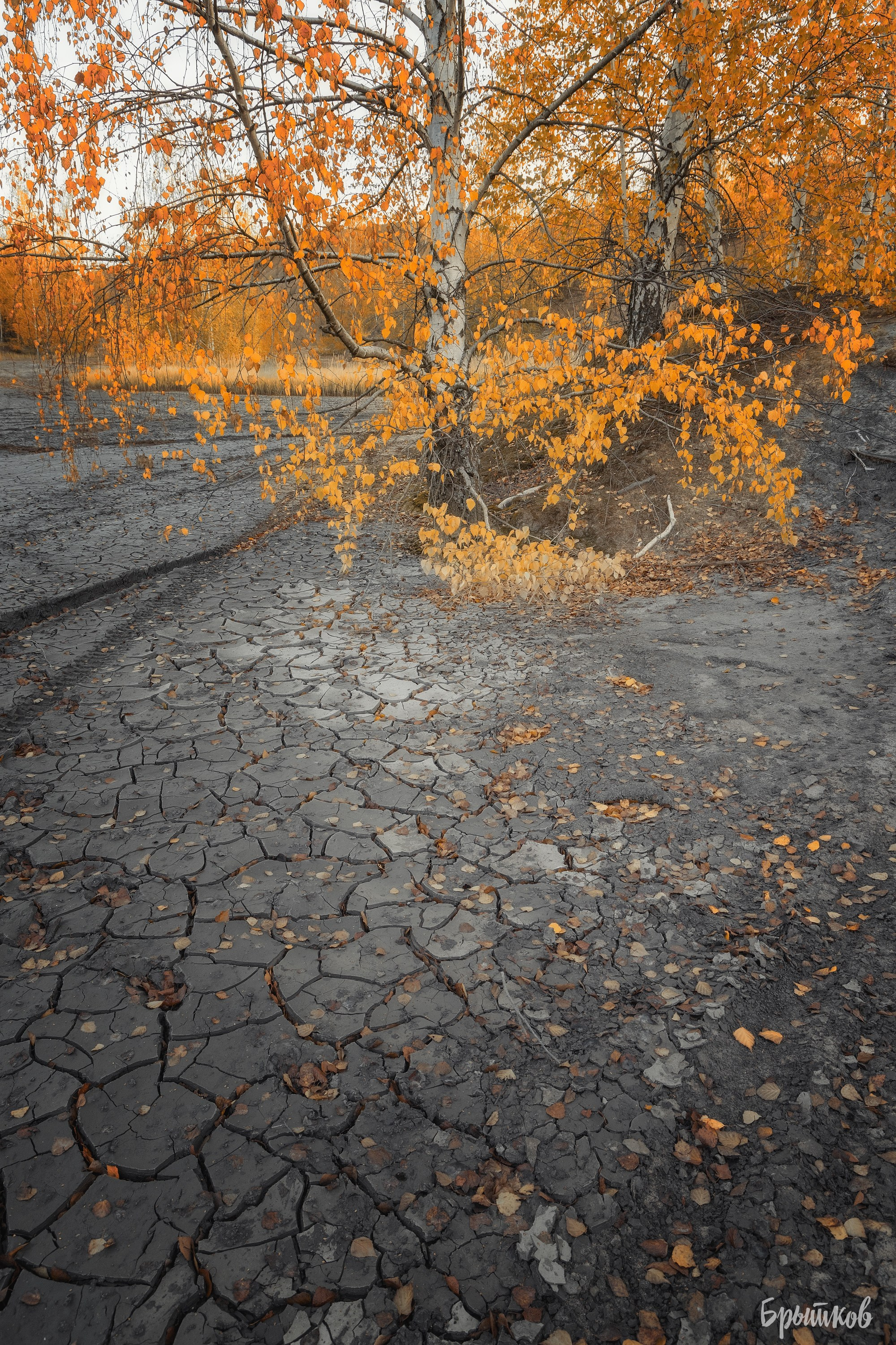 Кондуки. Николай Брытков — фотограф в Туле