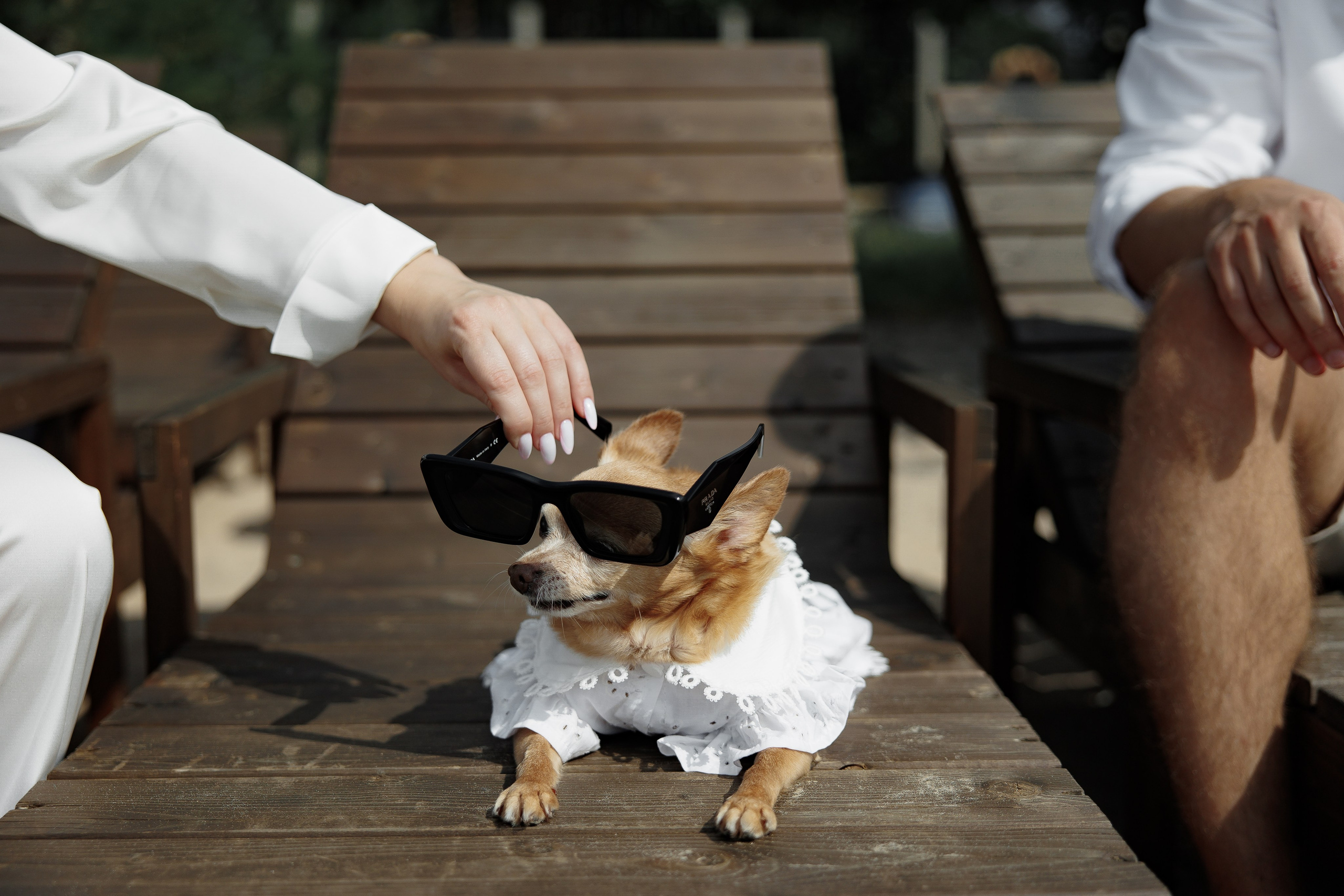 11/08/2023. Свадебный фотограф в Санкт-Петербурге Александр Пащенко