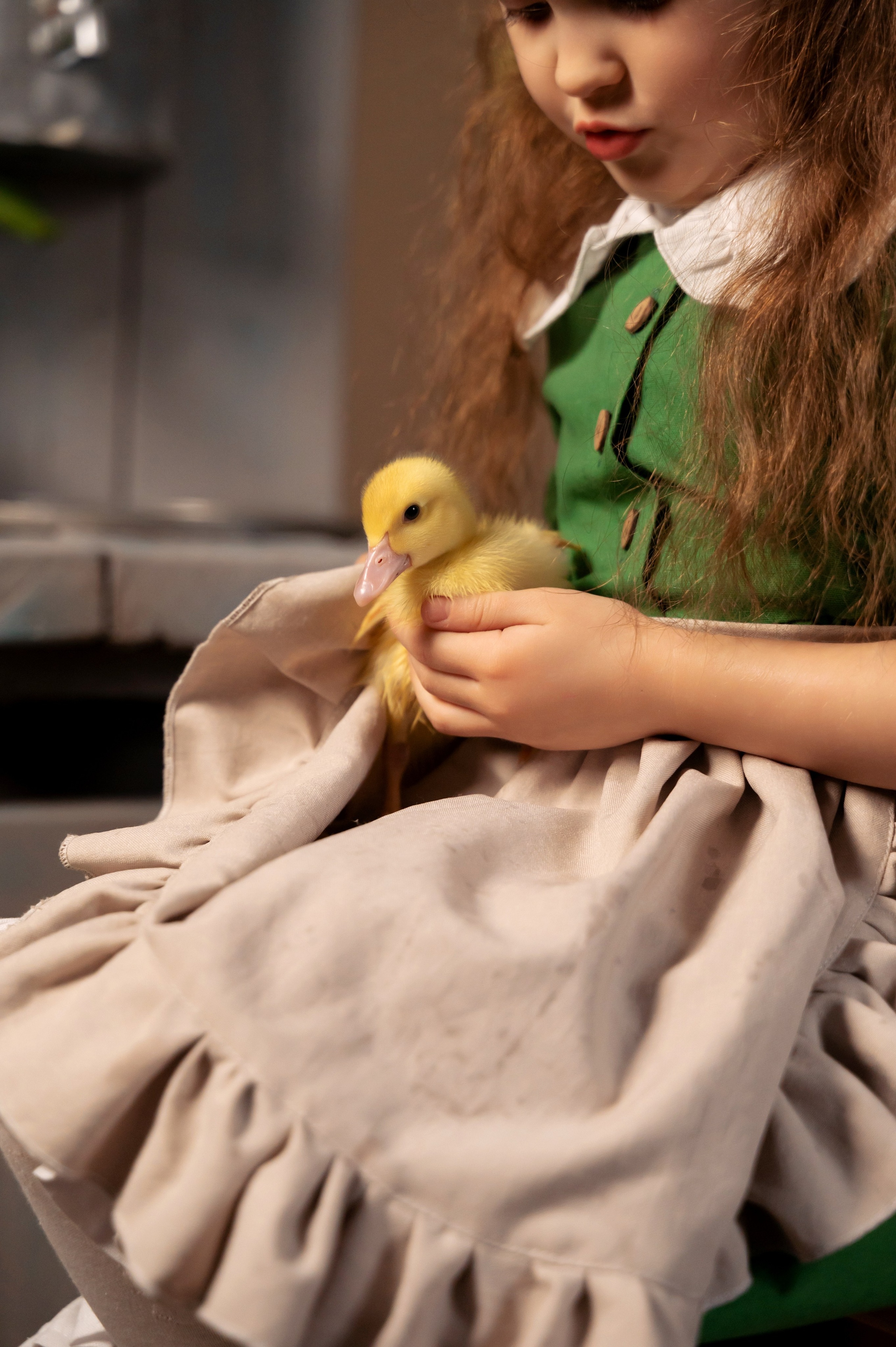 Купание утят. Елена Задорина