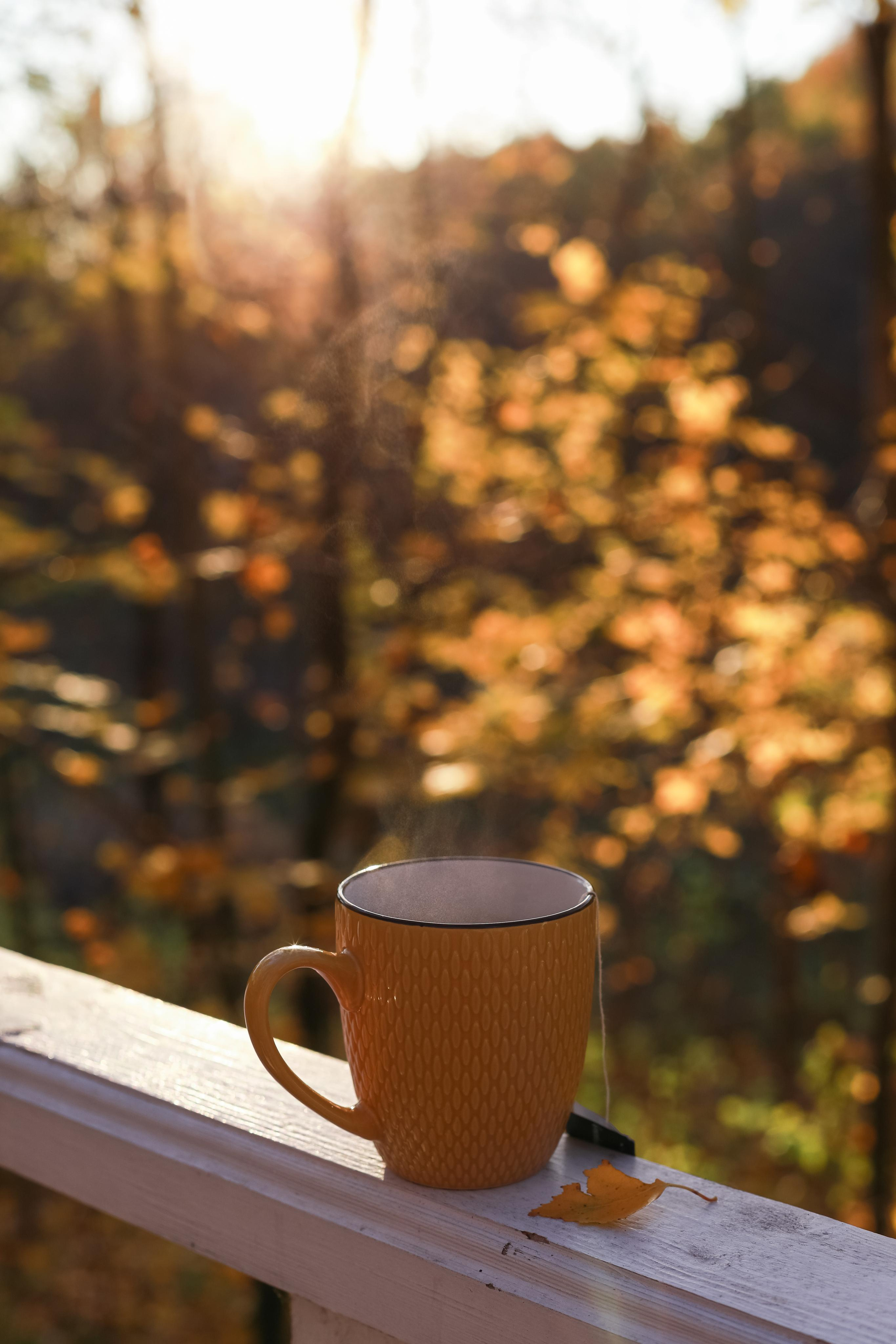 Фуд фото для сайта, доставки, меню, соцсетей, каталога. Фотограф в Костроме, Ярославле, Москве Светлана Заведеева
