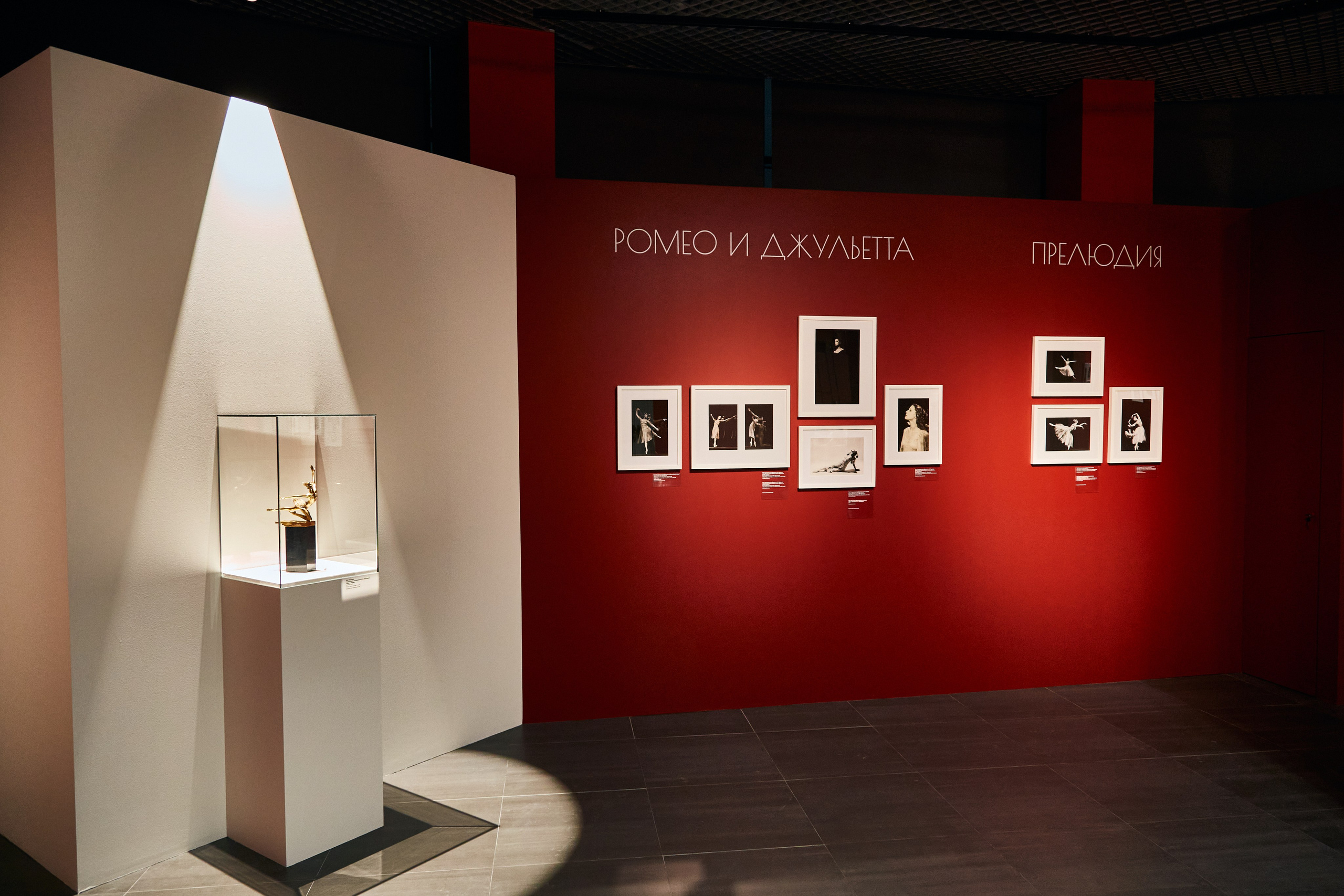 Выставка «Майя Плисецкая. Полюс магии». Даниил Гузиенко — репортажный фотограф в Туле