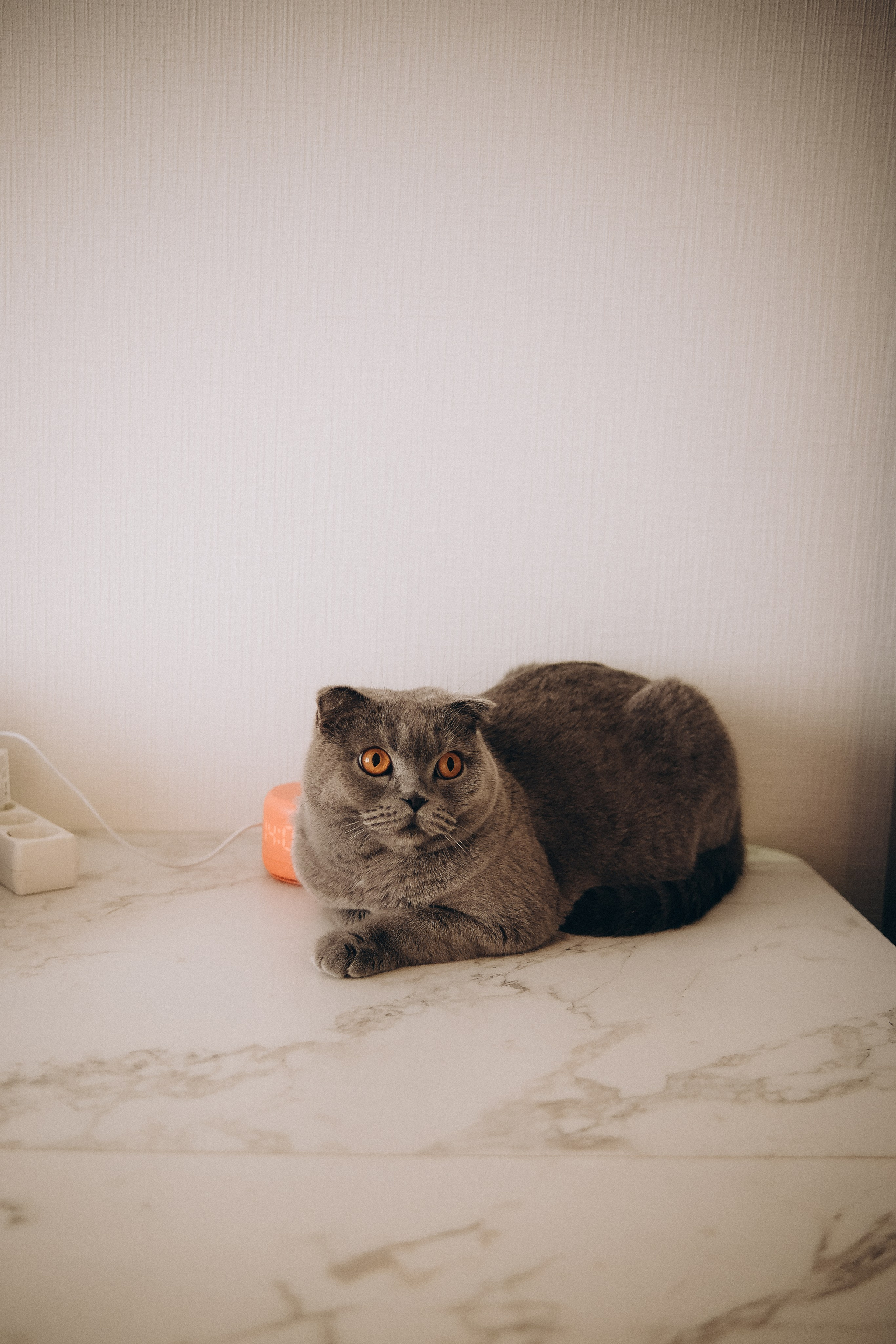 Дана&Вася&Ника. Phdkvmr.ru