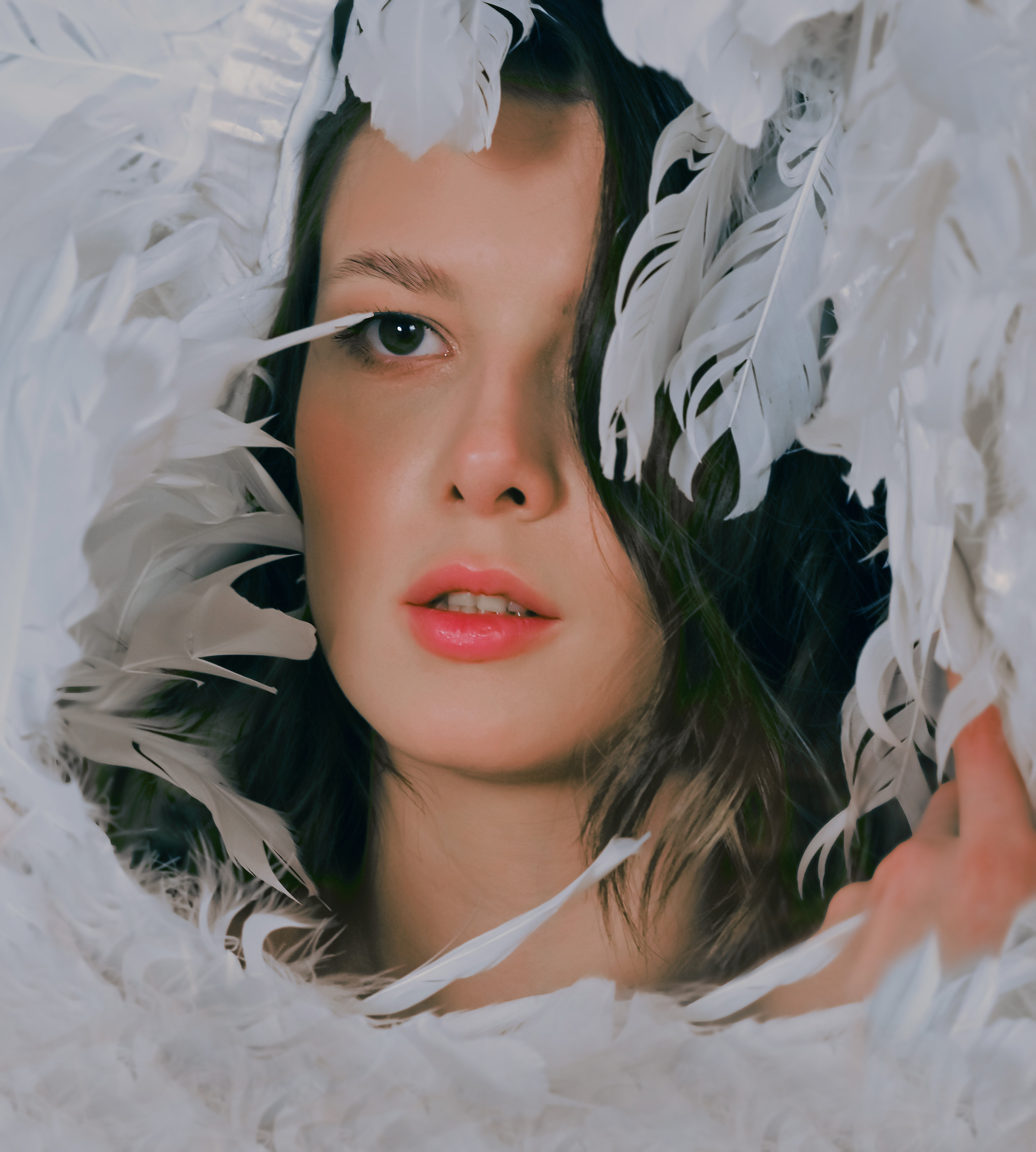 Принцесса лебедь. Фотограф Нижний Новгород, Богородск — Петрова Татьяна