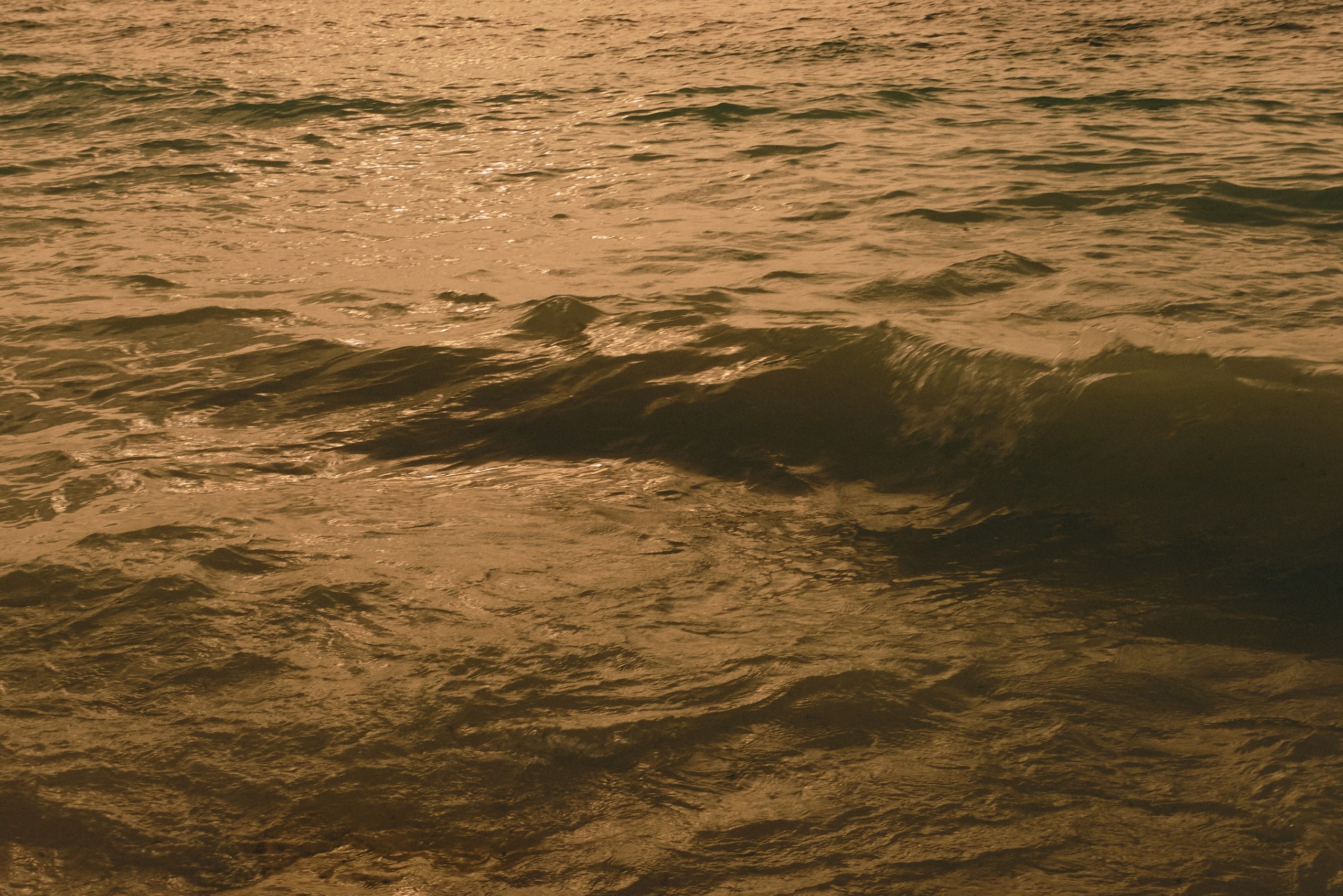 Катя. Виолетта Скрипка