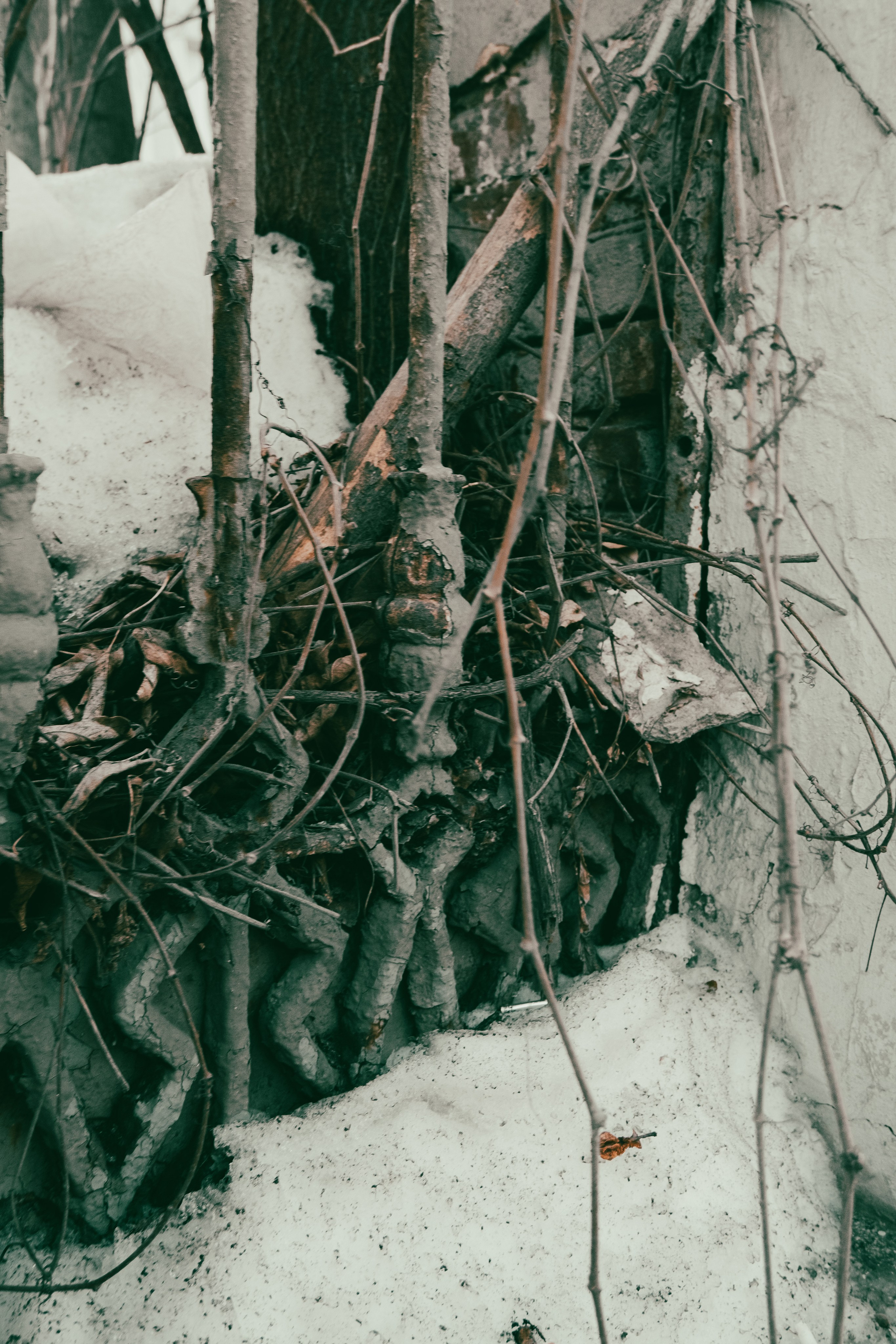 Март в Москве. Портретный и архитектурный фотограф в Москве и Санкт-Петербурге
