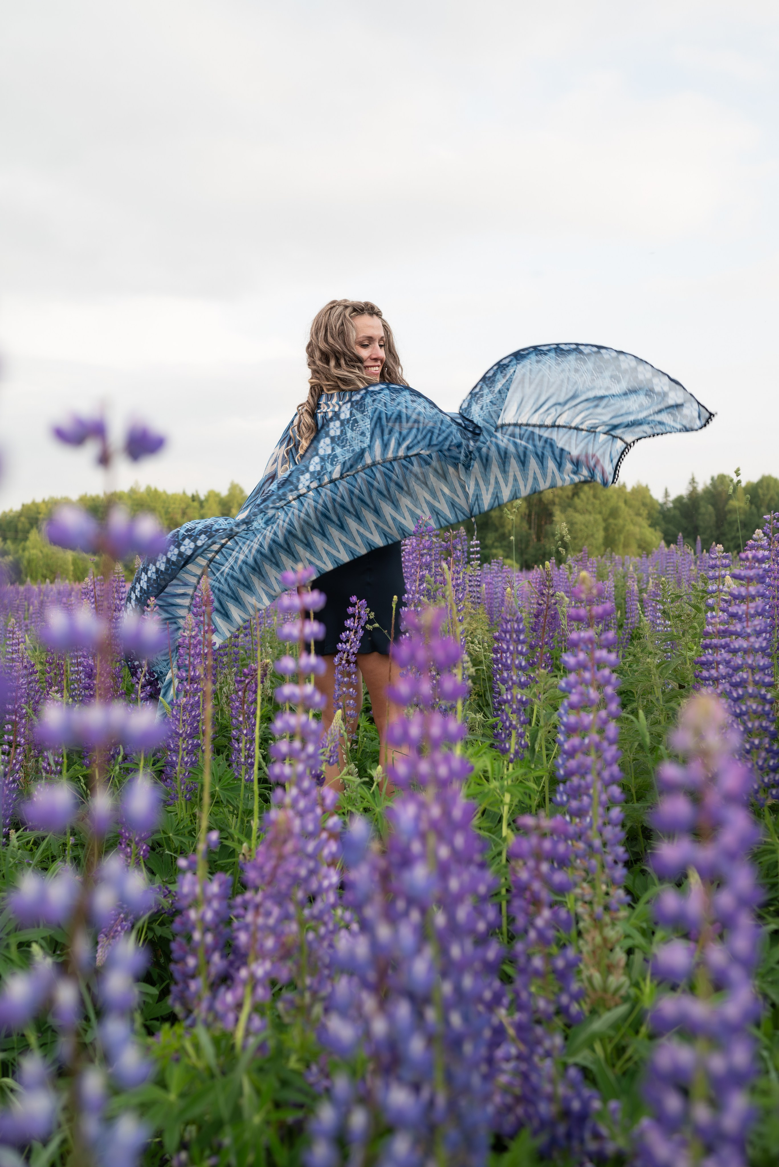 Люпины. Светлана Агалакова Фотограф