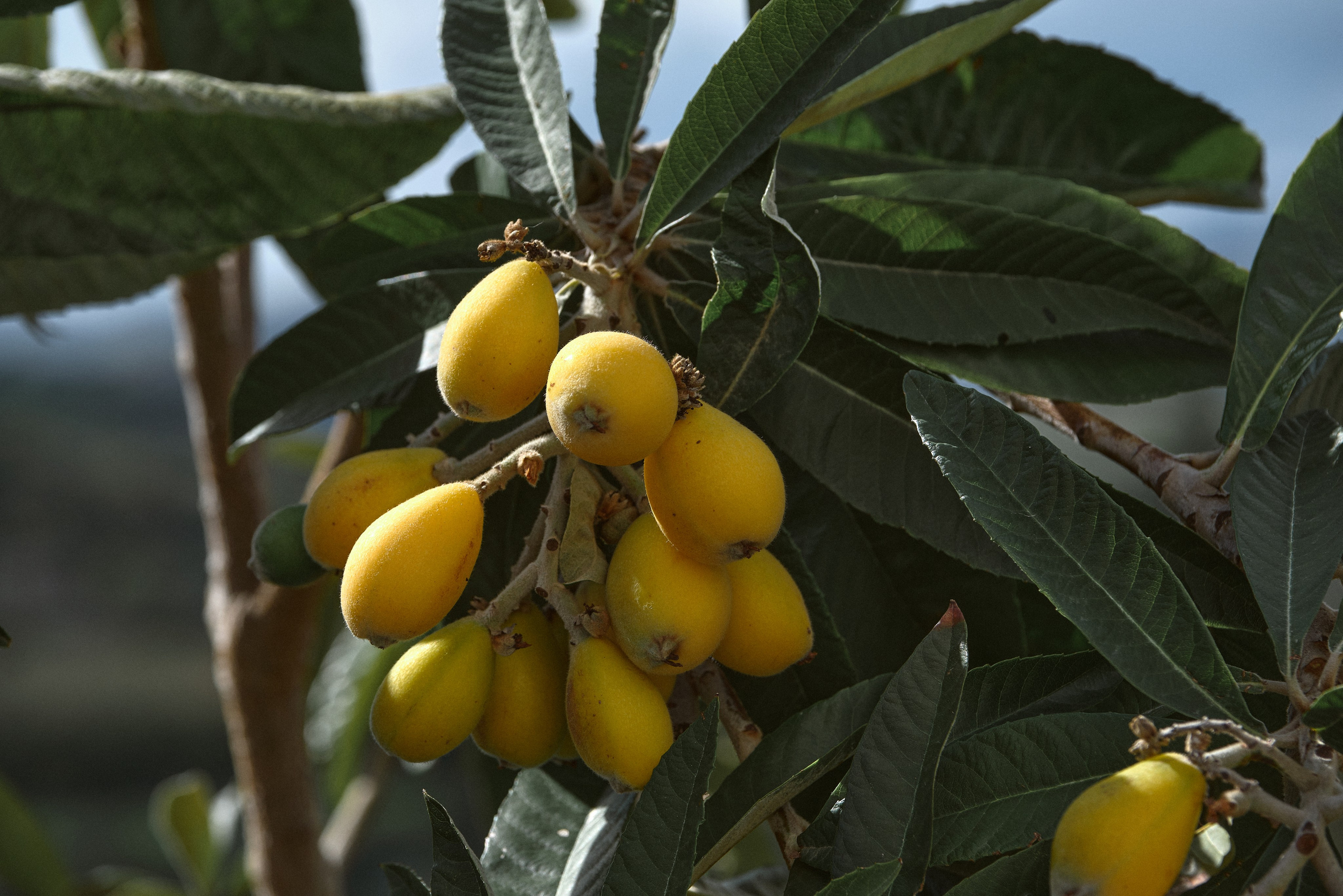 Cyprus 2024 / march. Aleksandr Kobtsev