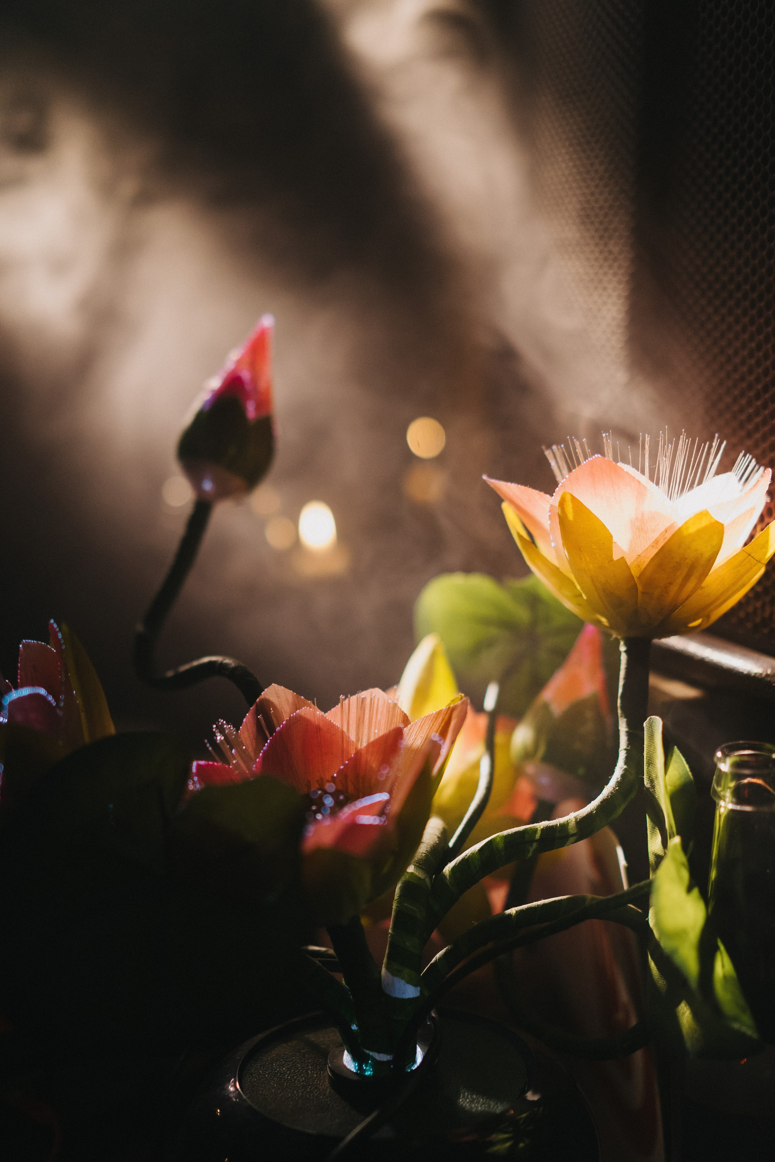 NZM. Портретный арт и репортажный фотограф в Нячанге Ульяхина Полина