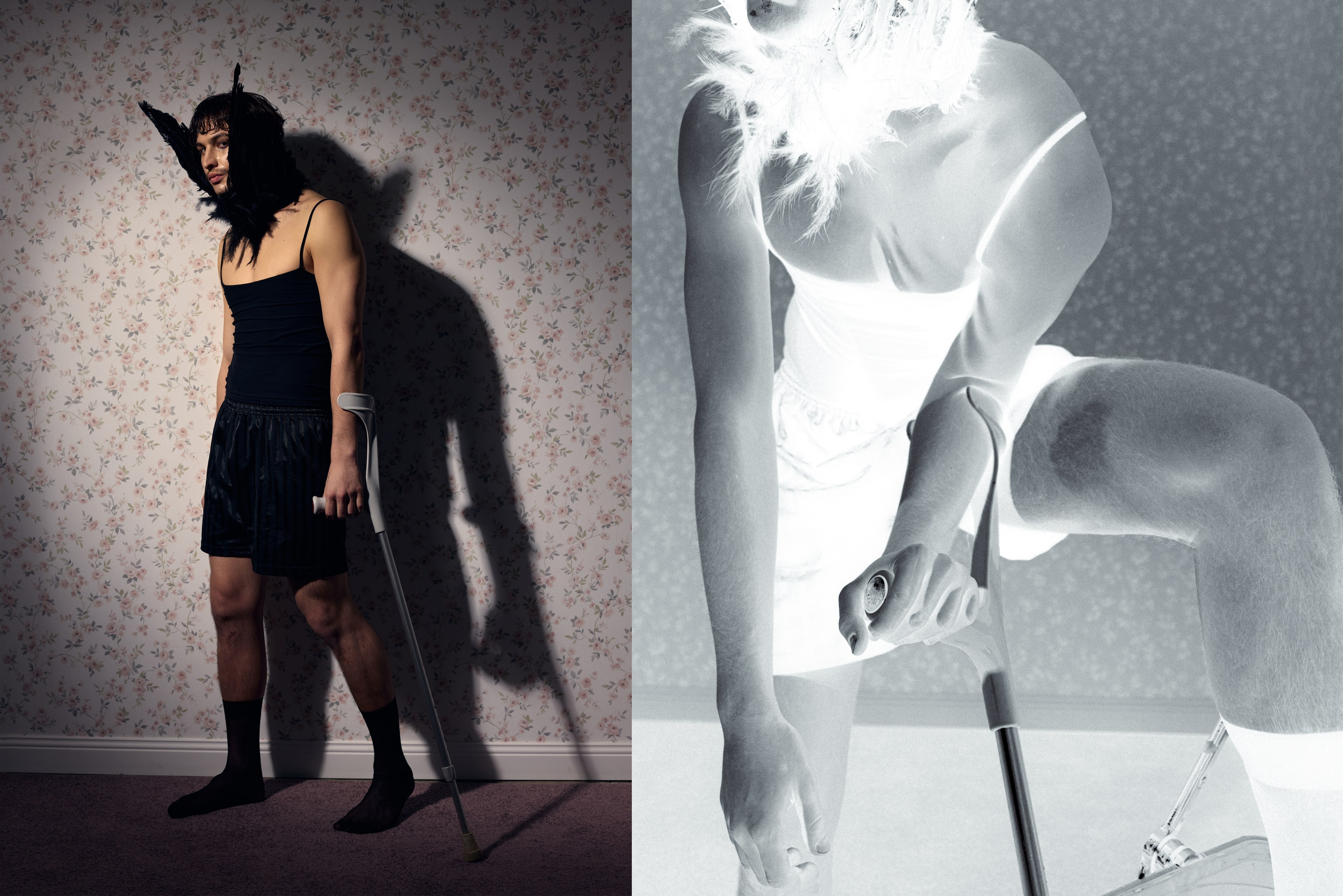 Bird in a cage. PLANTA ROSA — REPORTAGE