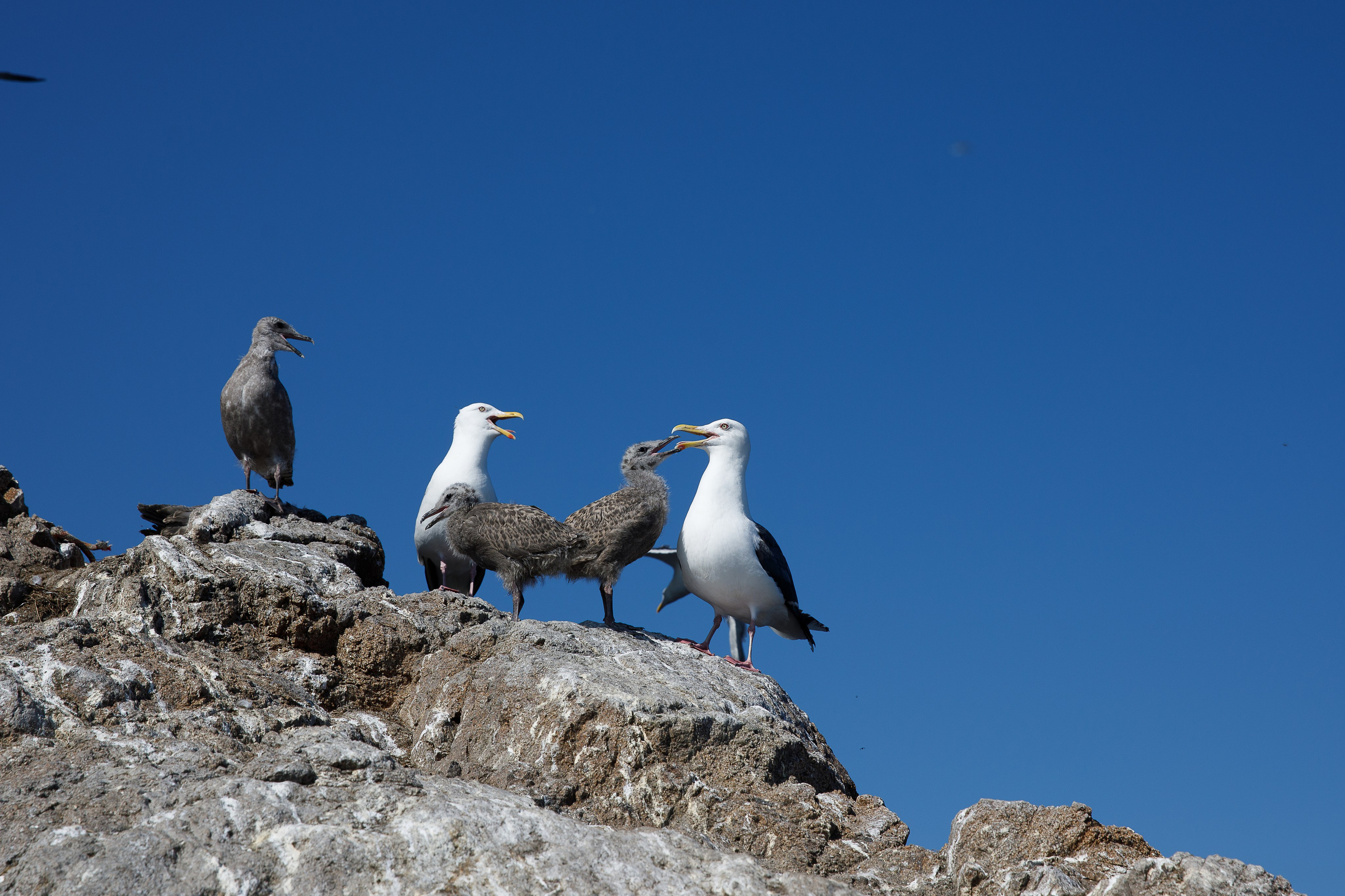 Сахалин. Маяк Анива. Репортажный и портретный фотограф Русакова Жанна