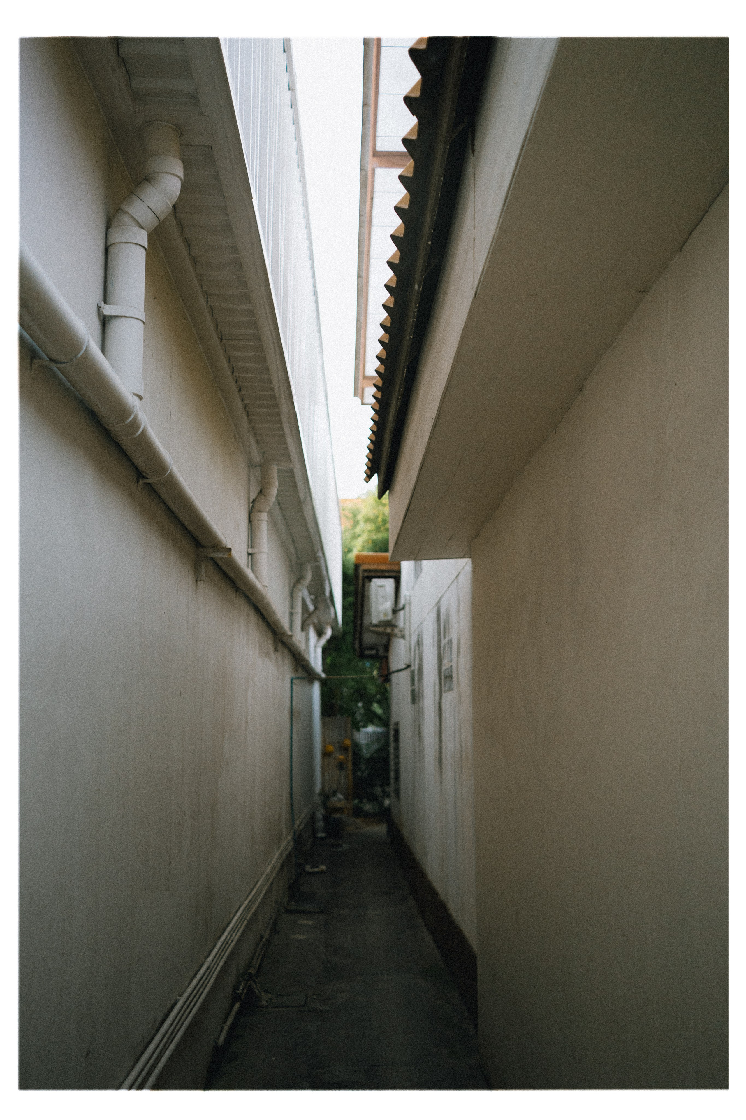 PAHNGAN 26. Свадебный и семейный фотограф Никита Корохов