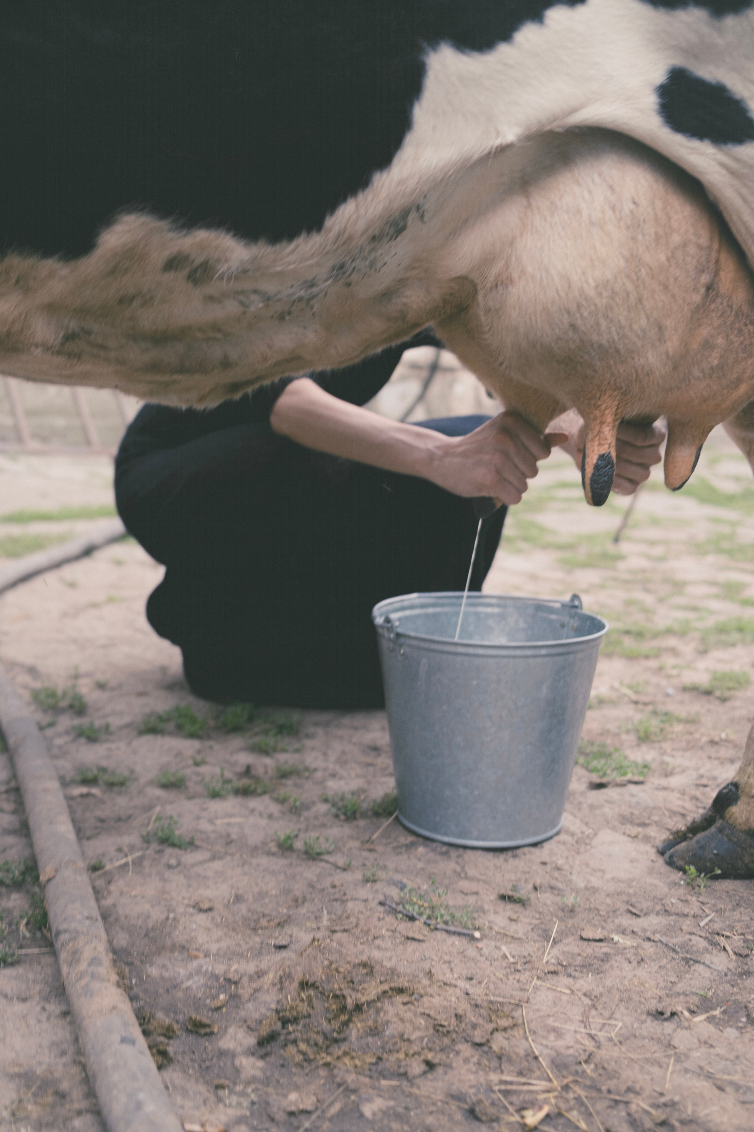 LUSI AND DANIIAR BAGS. Yana Bulgakova Photographhy