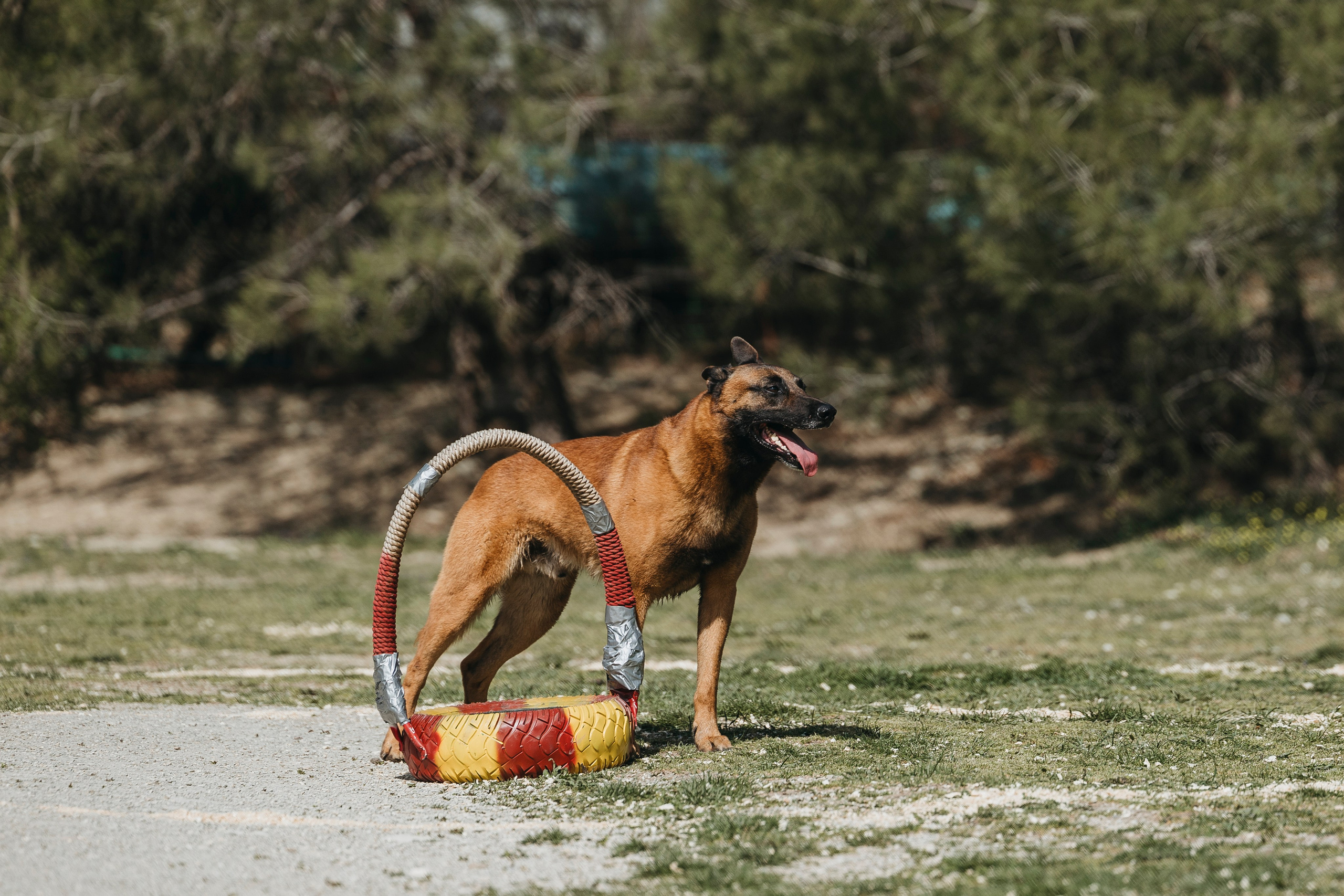 Геленджик Мондьоринг. Фотограф-анималист Анна Маринич