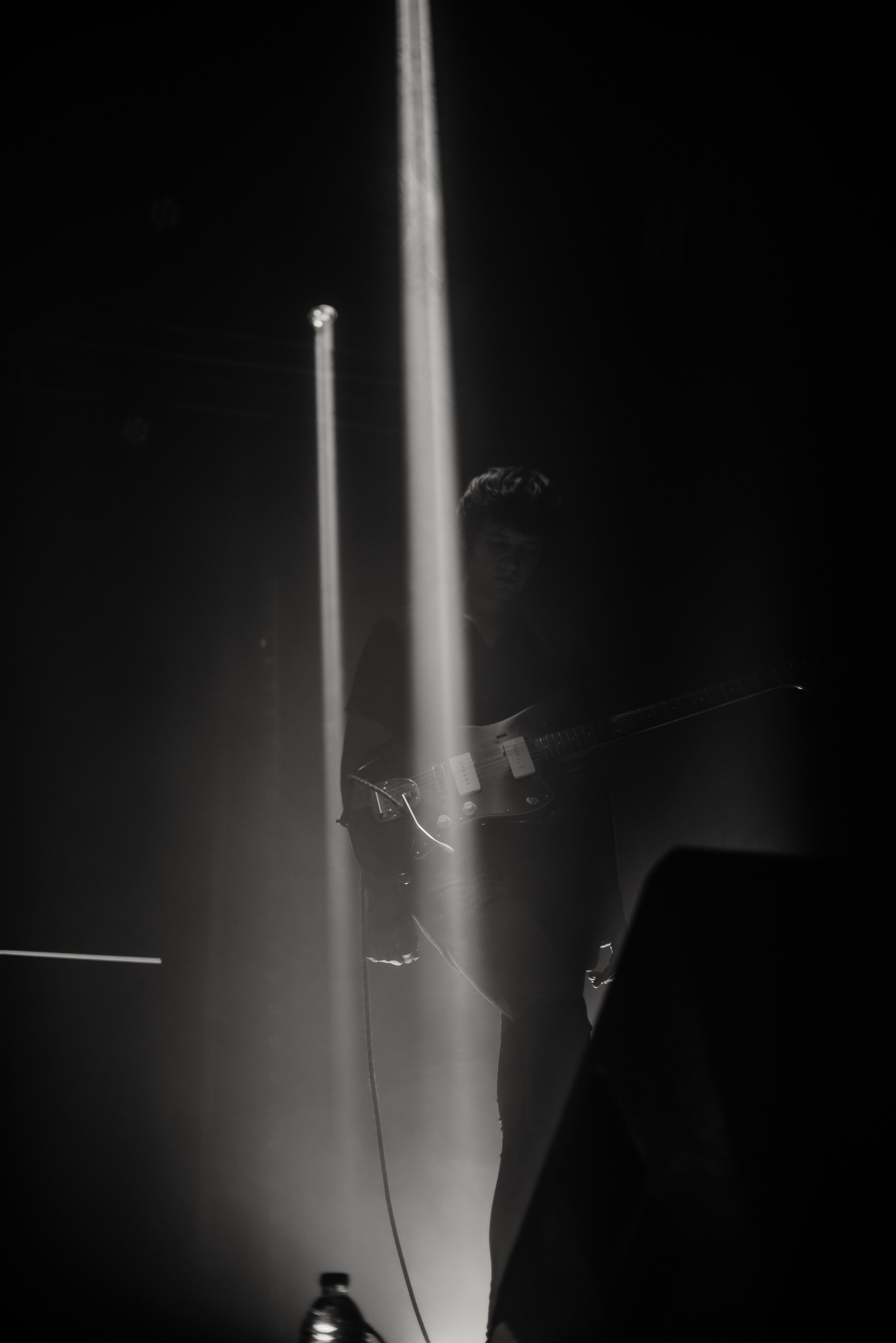 Дельфин | Gaudi. Контент фотограф Илья Урс