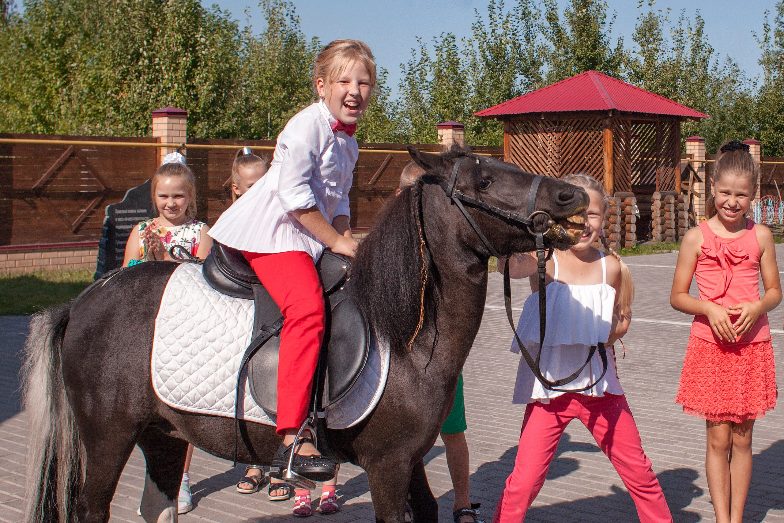 Девочка верхом на пони среди других детей