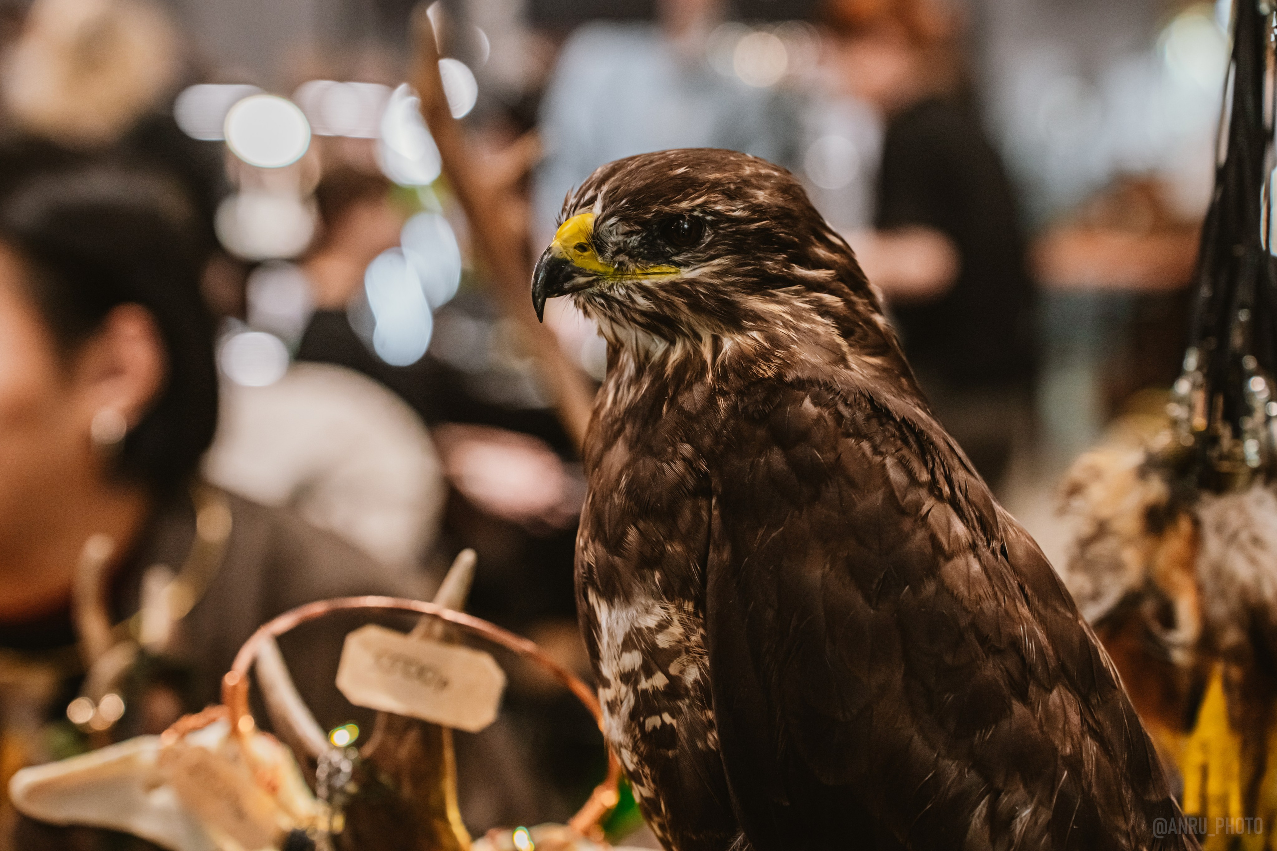 Рептилиум (ручная работа). Репортажный фотограф Анастасия Рубцова