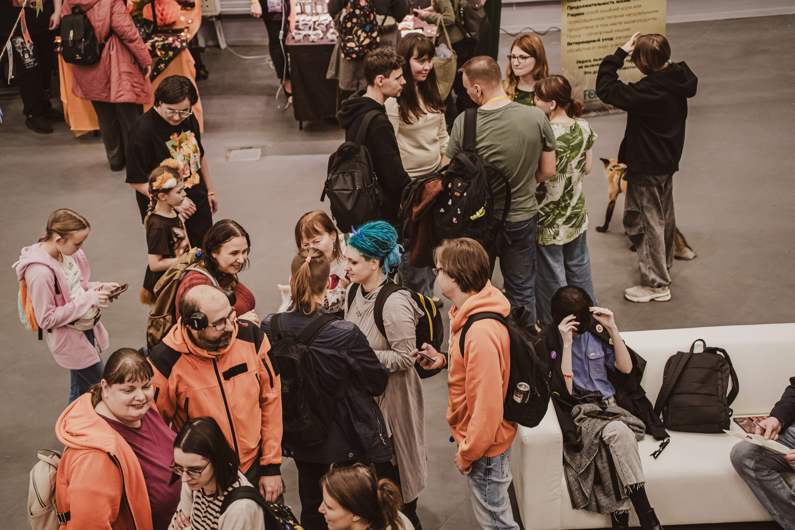 Fox Family fest. Репортажный фотограф Анастасия Рубцова