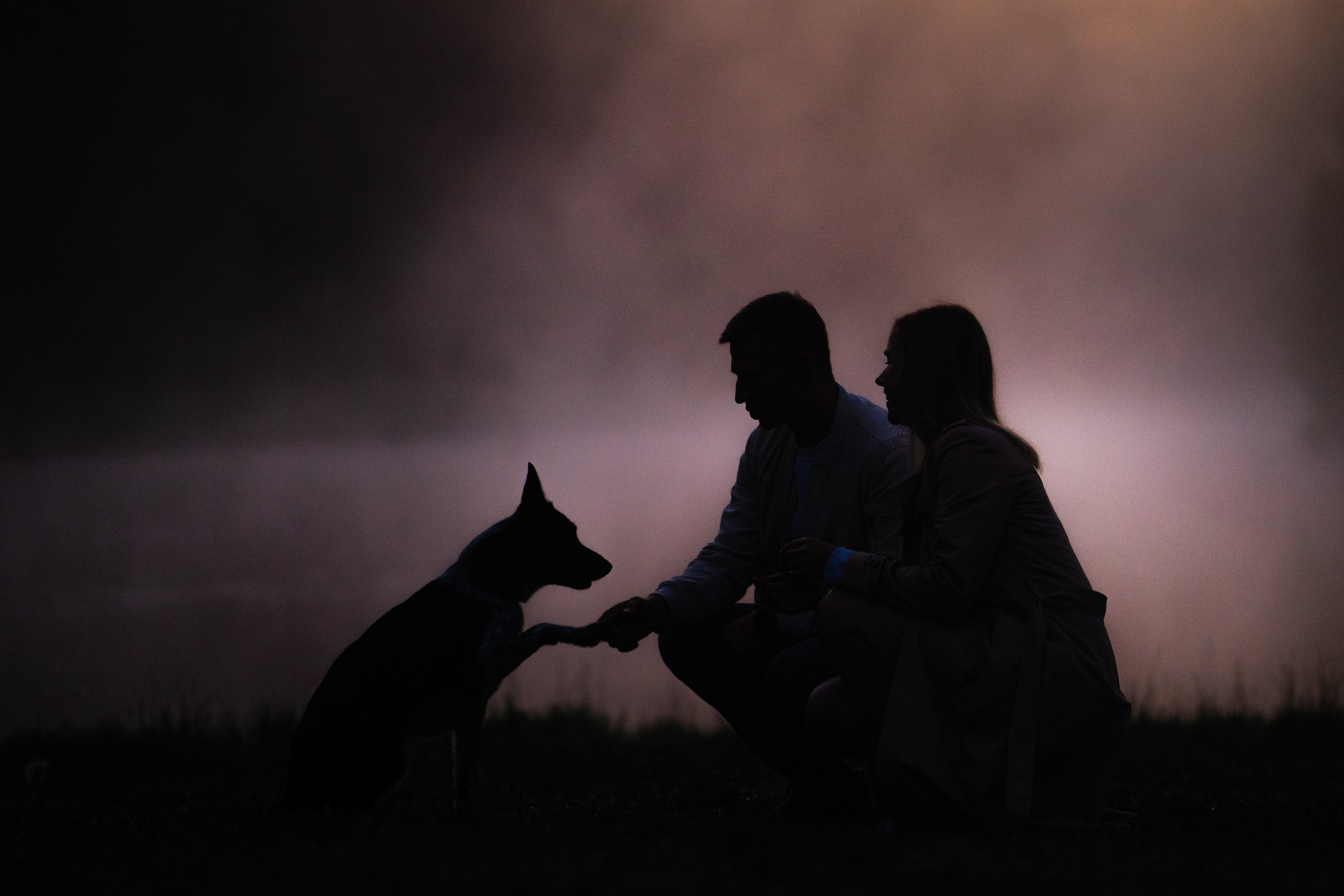 Катя, Сергей и Флинт. Фотограф анималист в Москве и Санкт-Петербурге Свиридова Анна